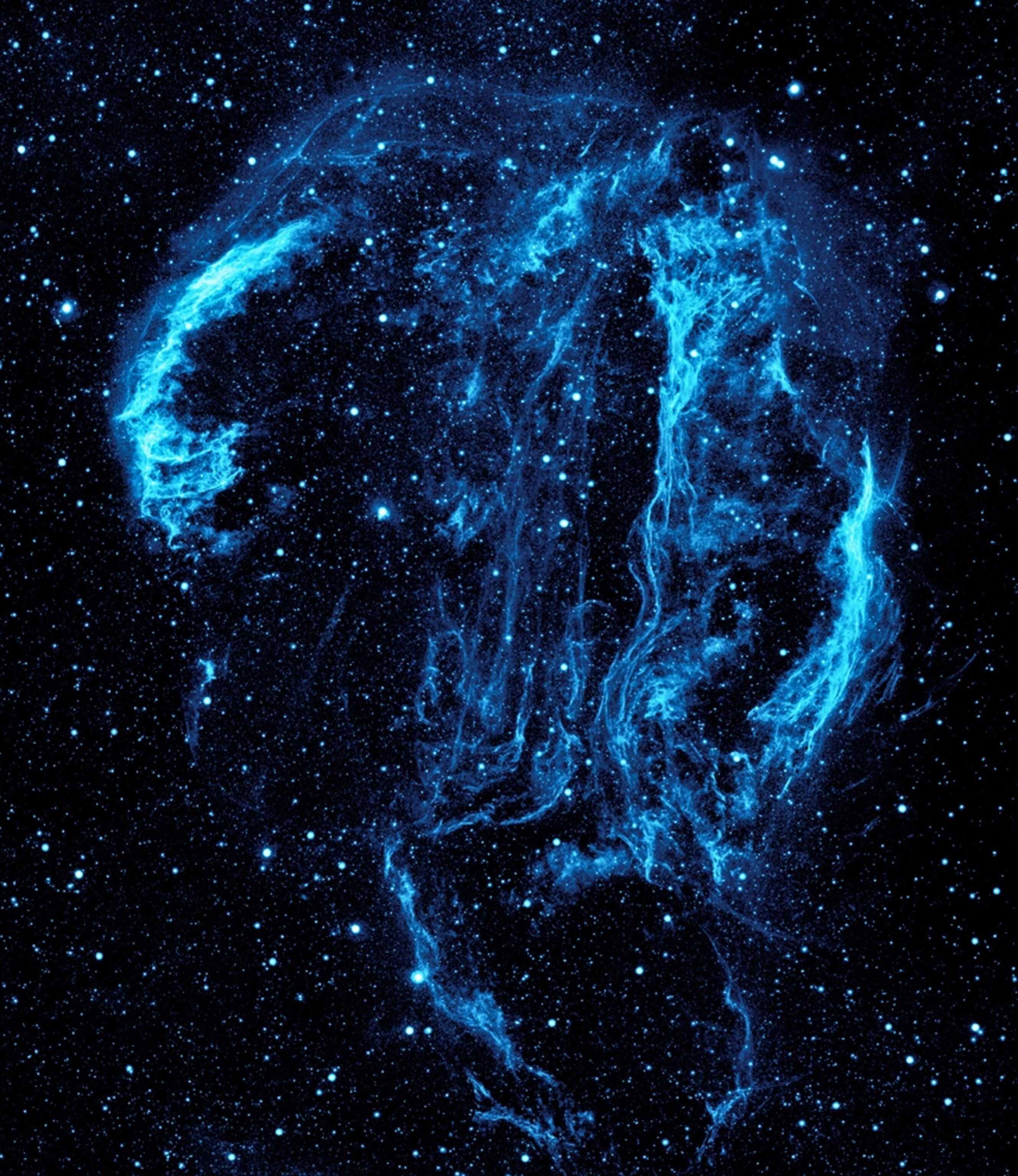 Nebula picture: an ultraviolet picture of the Cygnus Loop supernova remnant