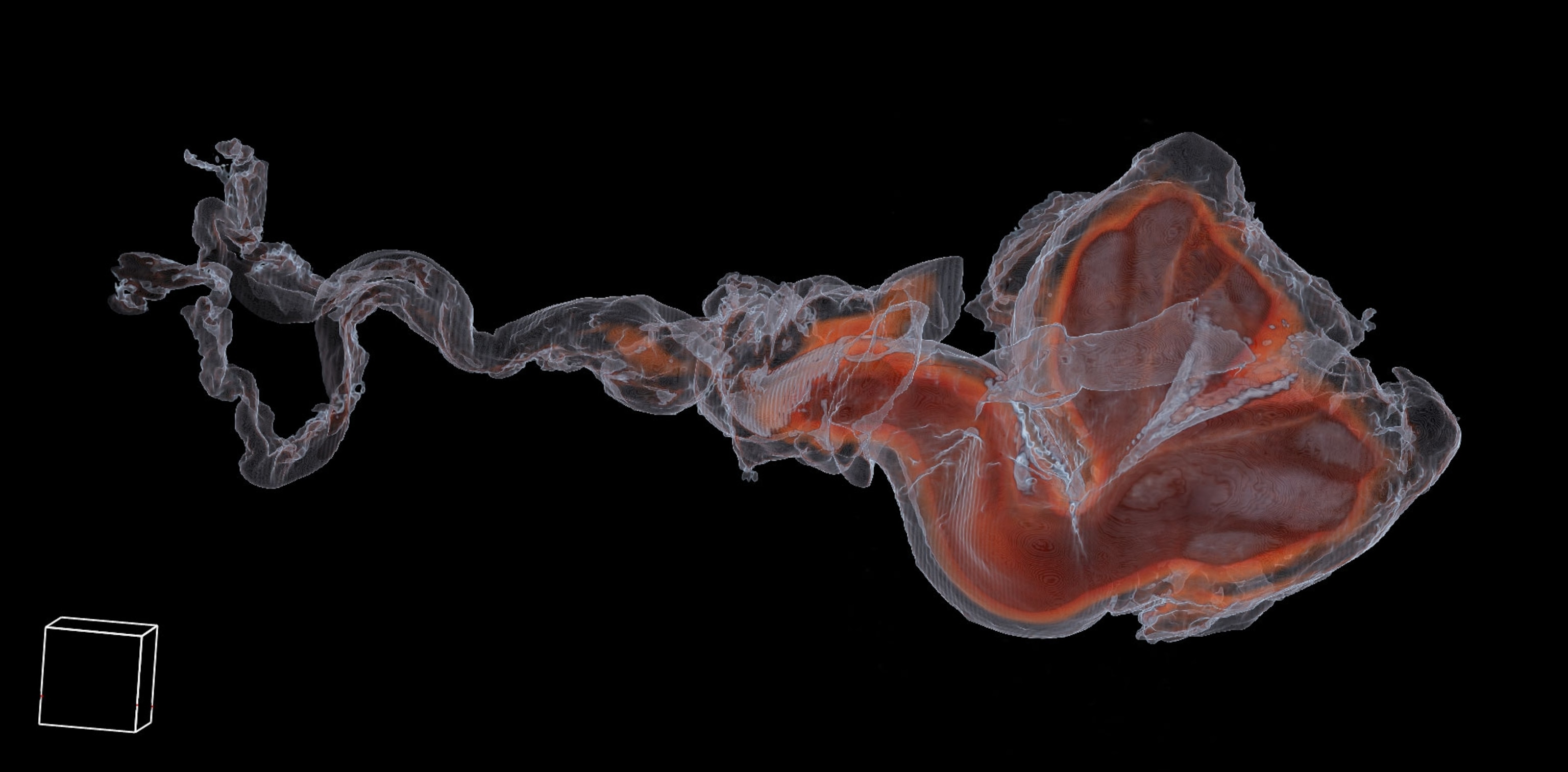 CT scans showing how the penis
