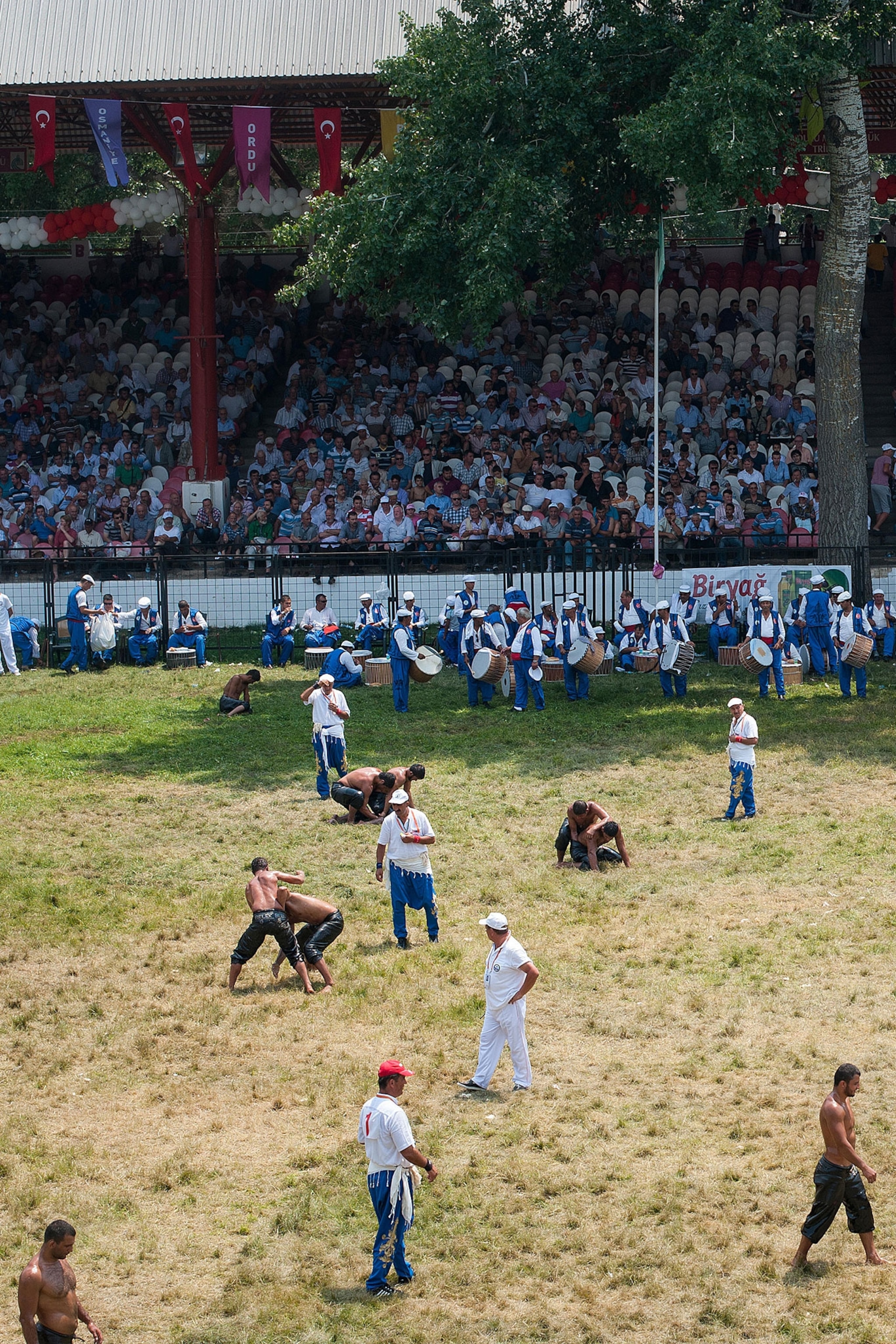 Kirkpinar oil wrestlers on the field