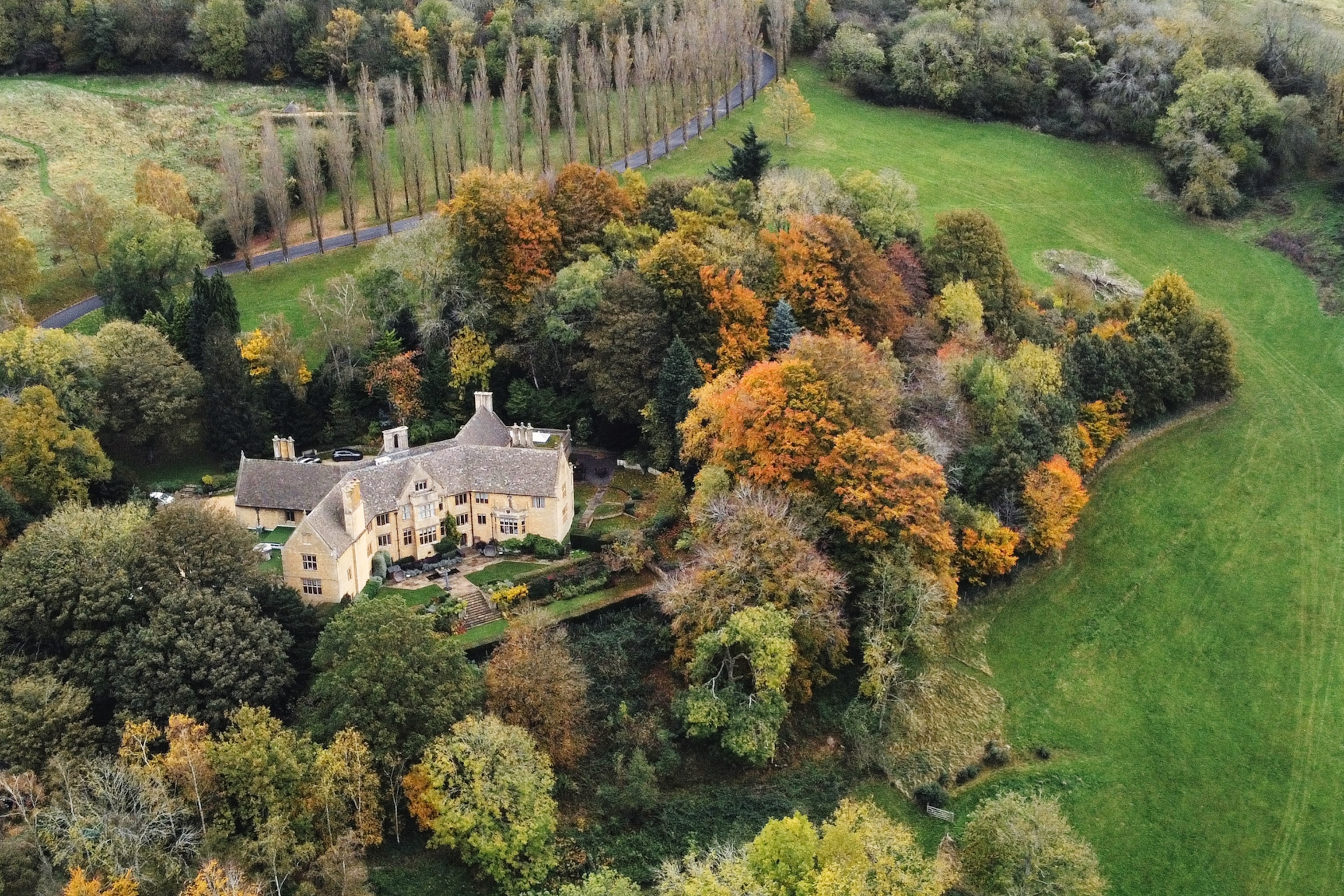A traditionally English manor nestled into a dense forest with a cypress-lined road leading to the estate.