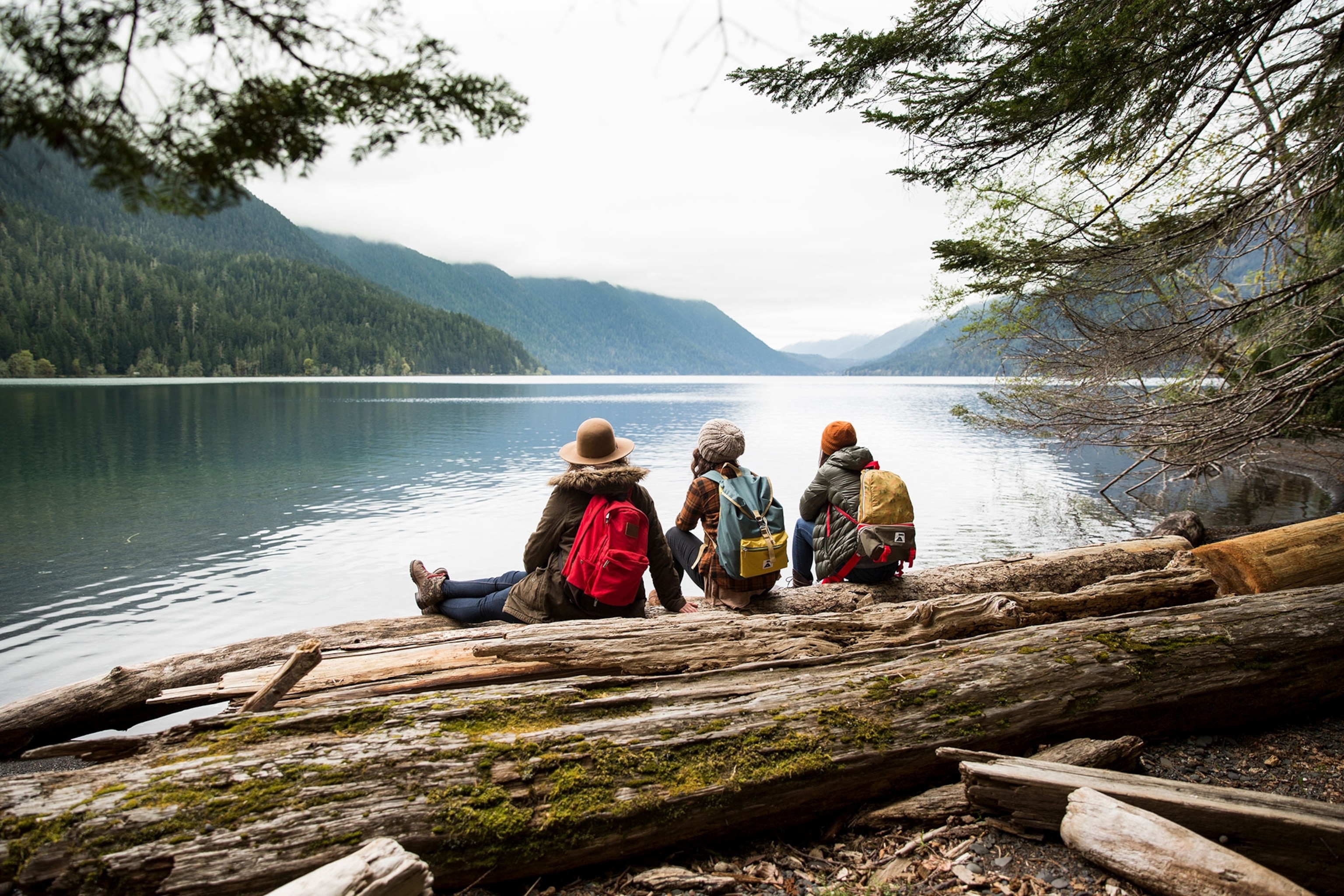 Three people sitting on a large tree trunk surrounded by trees facing a body of water.