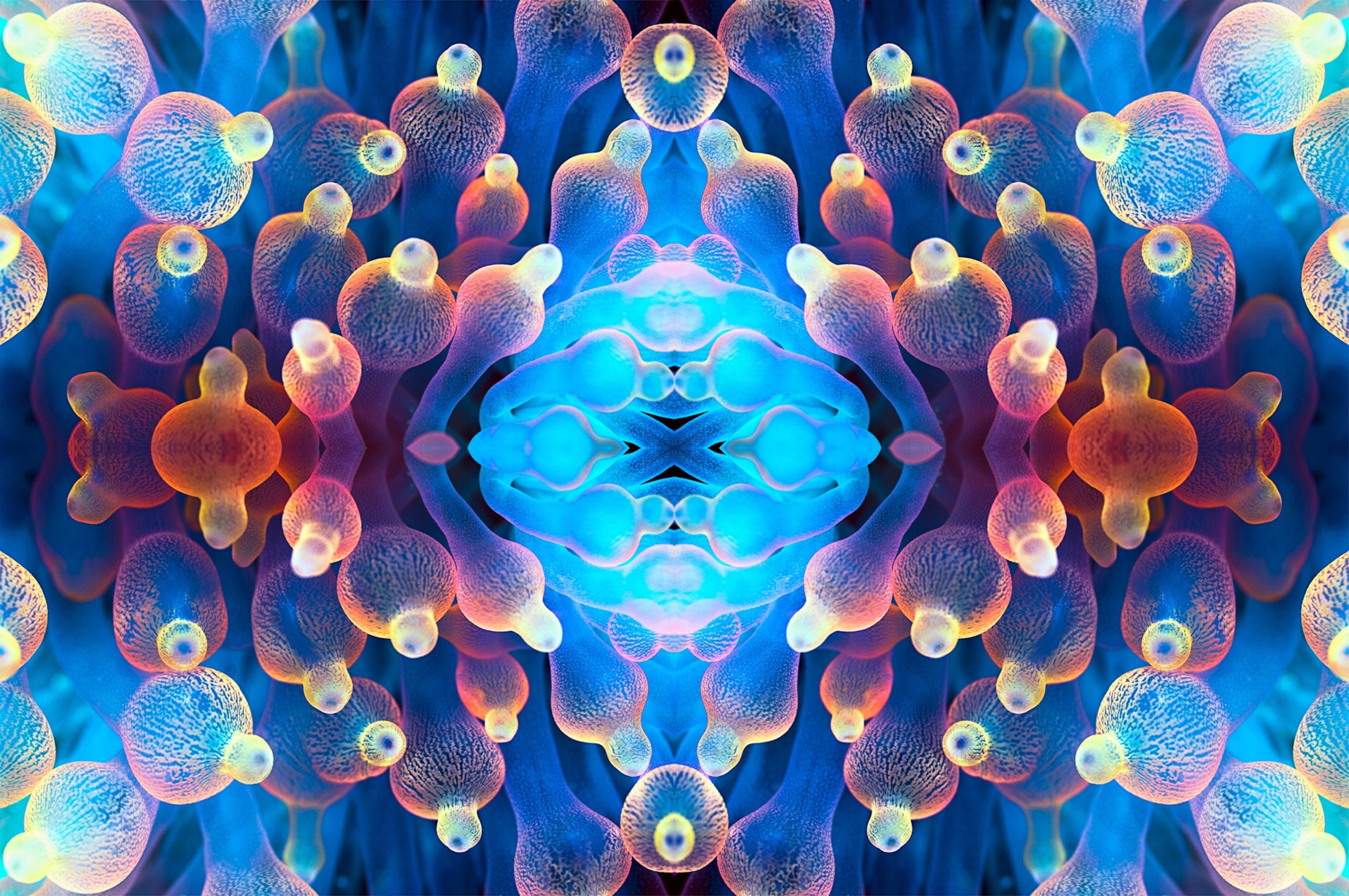 Kaleidoscopic image of Bubble tip anemone, looking like bubbles.