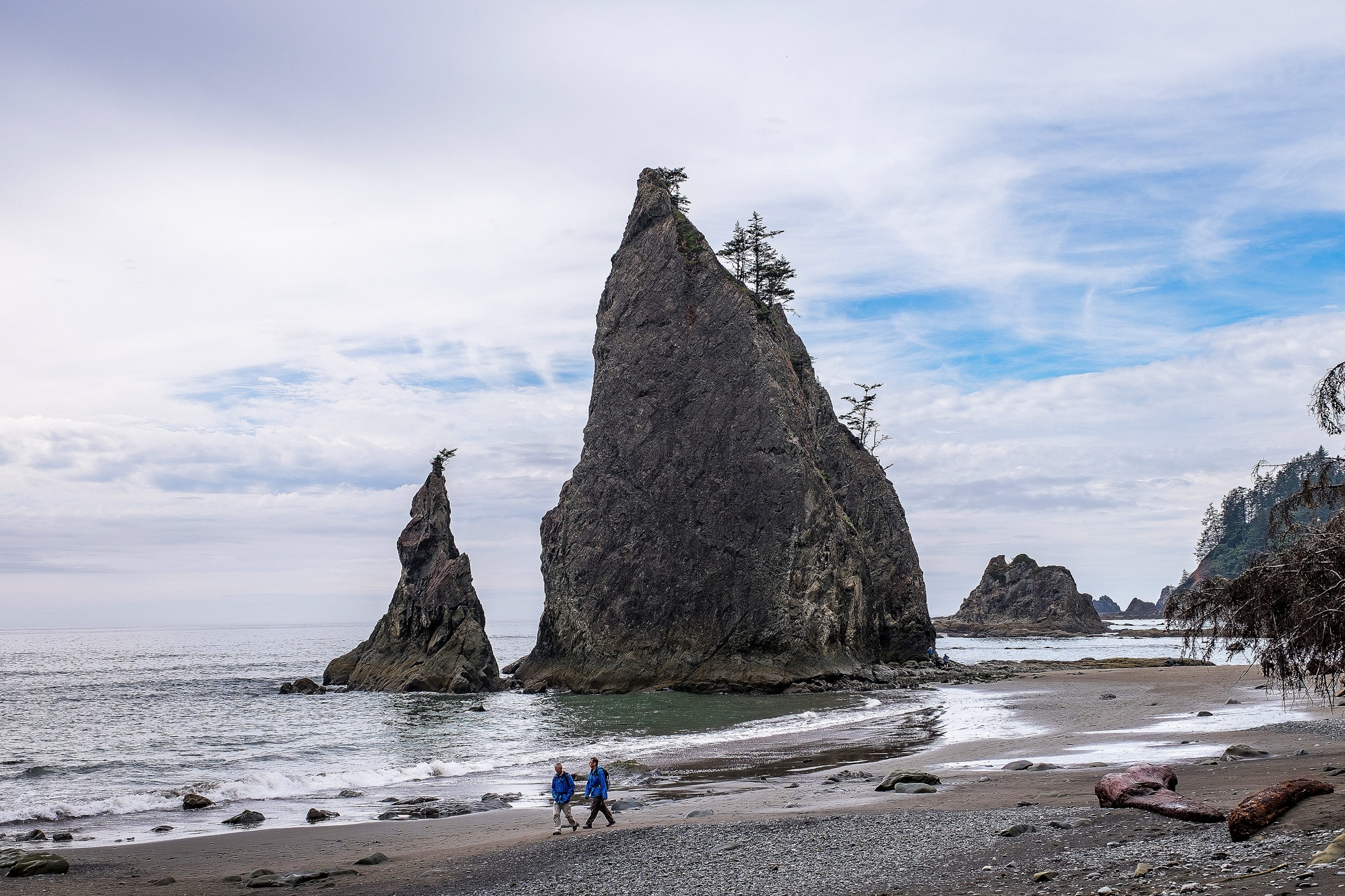 sea stacks on the Olympic Coast in Olympic National Park, Washington