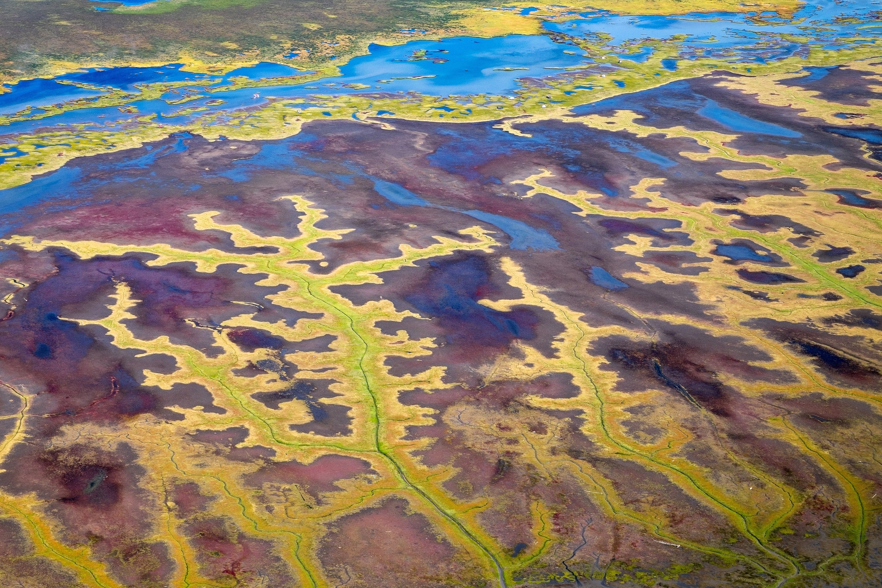 a floodplain in Lake Clark National Park, Alaska