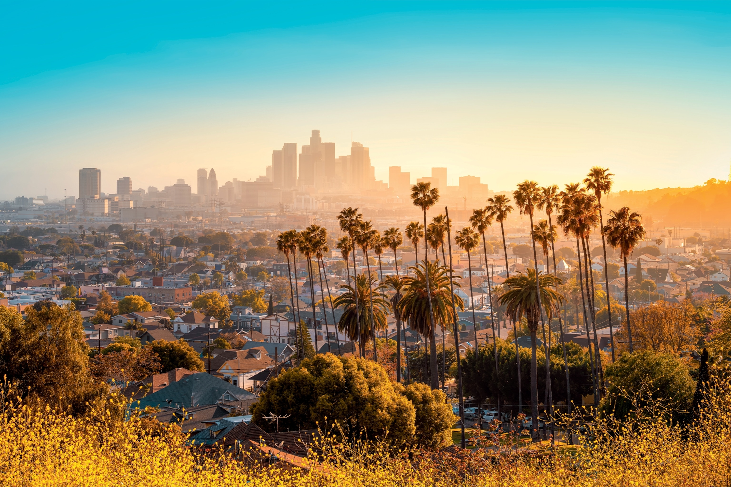 skyline of L.A.