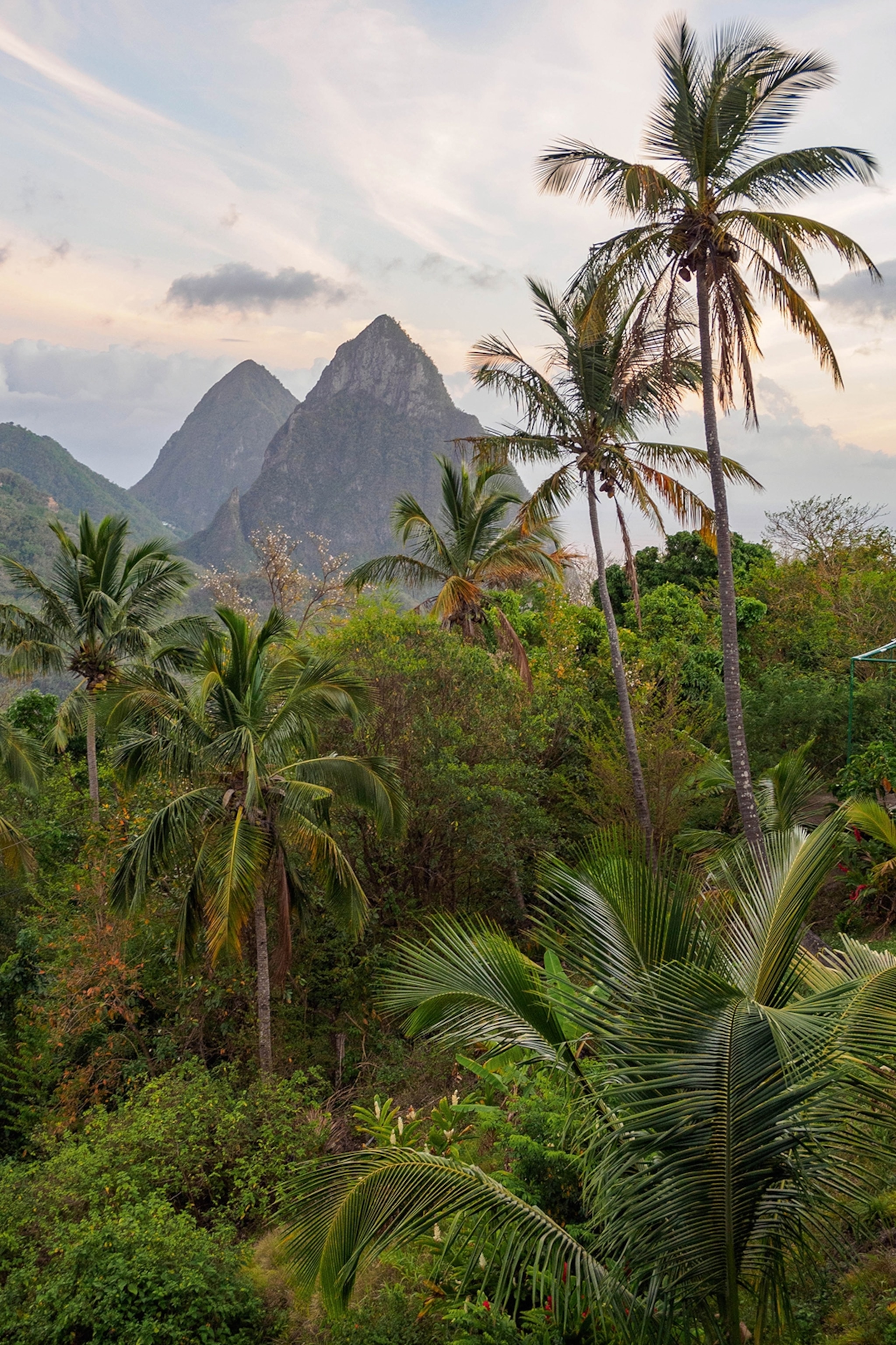 A view on the coconut-tree-dotted, vibrant rainforest and peaks of St.Lucia.
