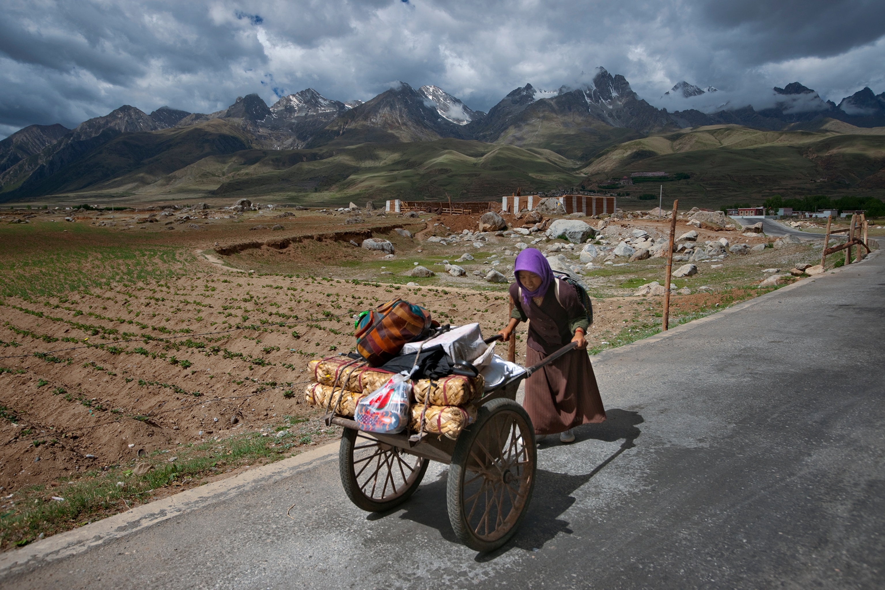 Tea Nomad