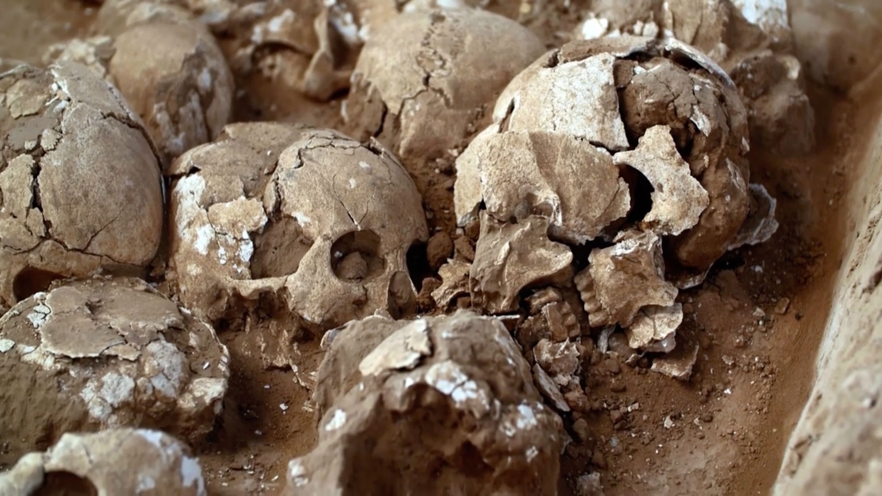 skulls partially buried in dirt