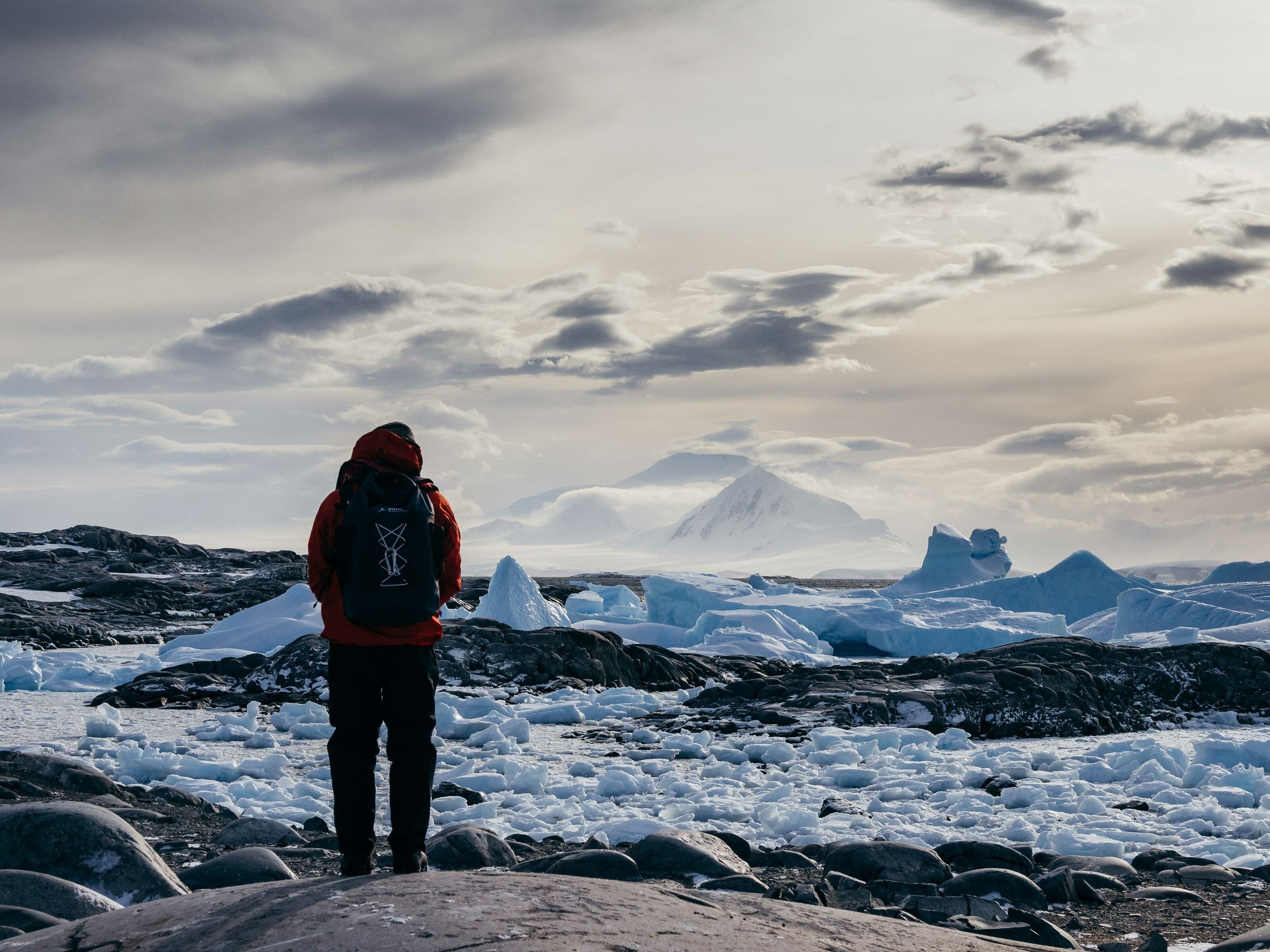 A snowshoer looking out at an icy plain.