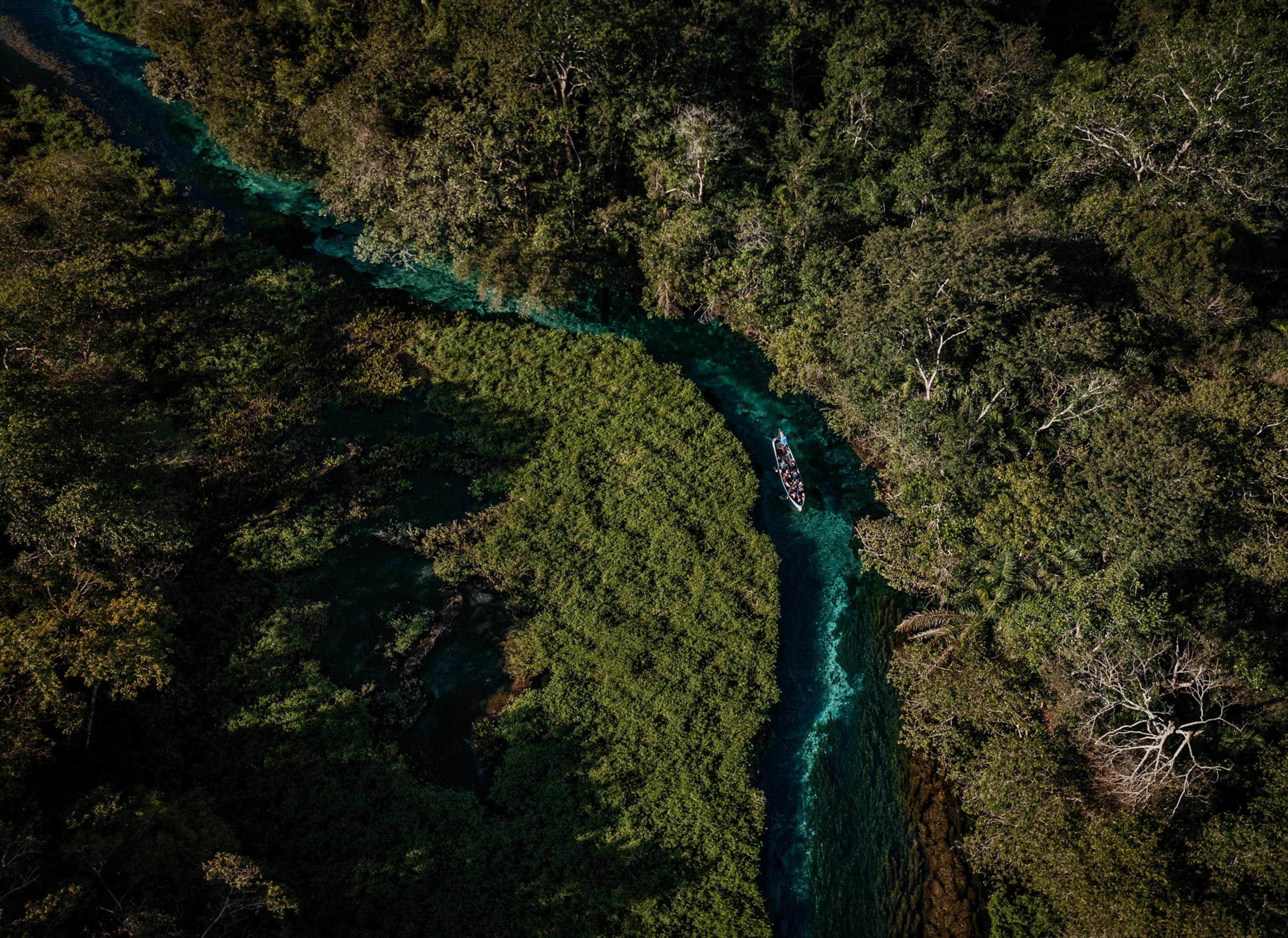An aerial shot of the Sucuri River, with a boat traveling upstream.