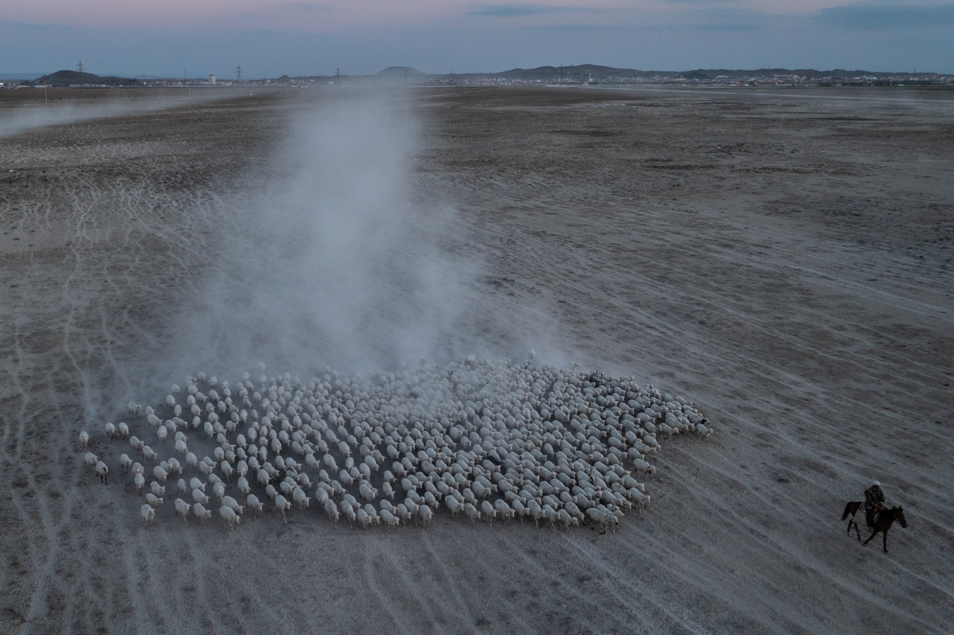 Aerial view of a shepherd leading a flock of sheep across drought stricken grasslands in Turkey.