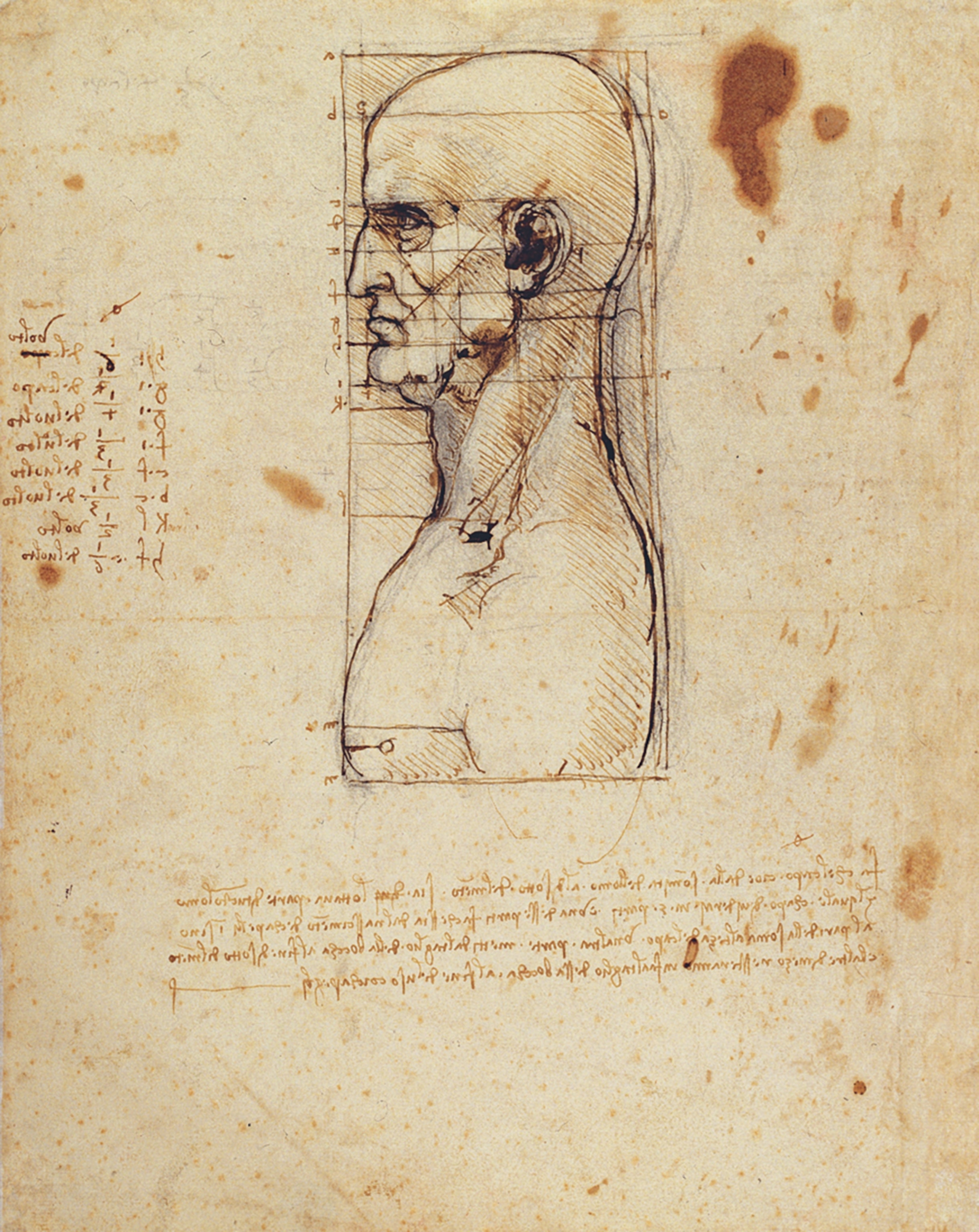 "A Man Seen in Profile, With Geometric Figures Superimposed, in Order to Demonstrate Ideal Proportions," circa 1490 is pictured.