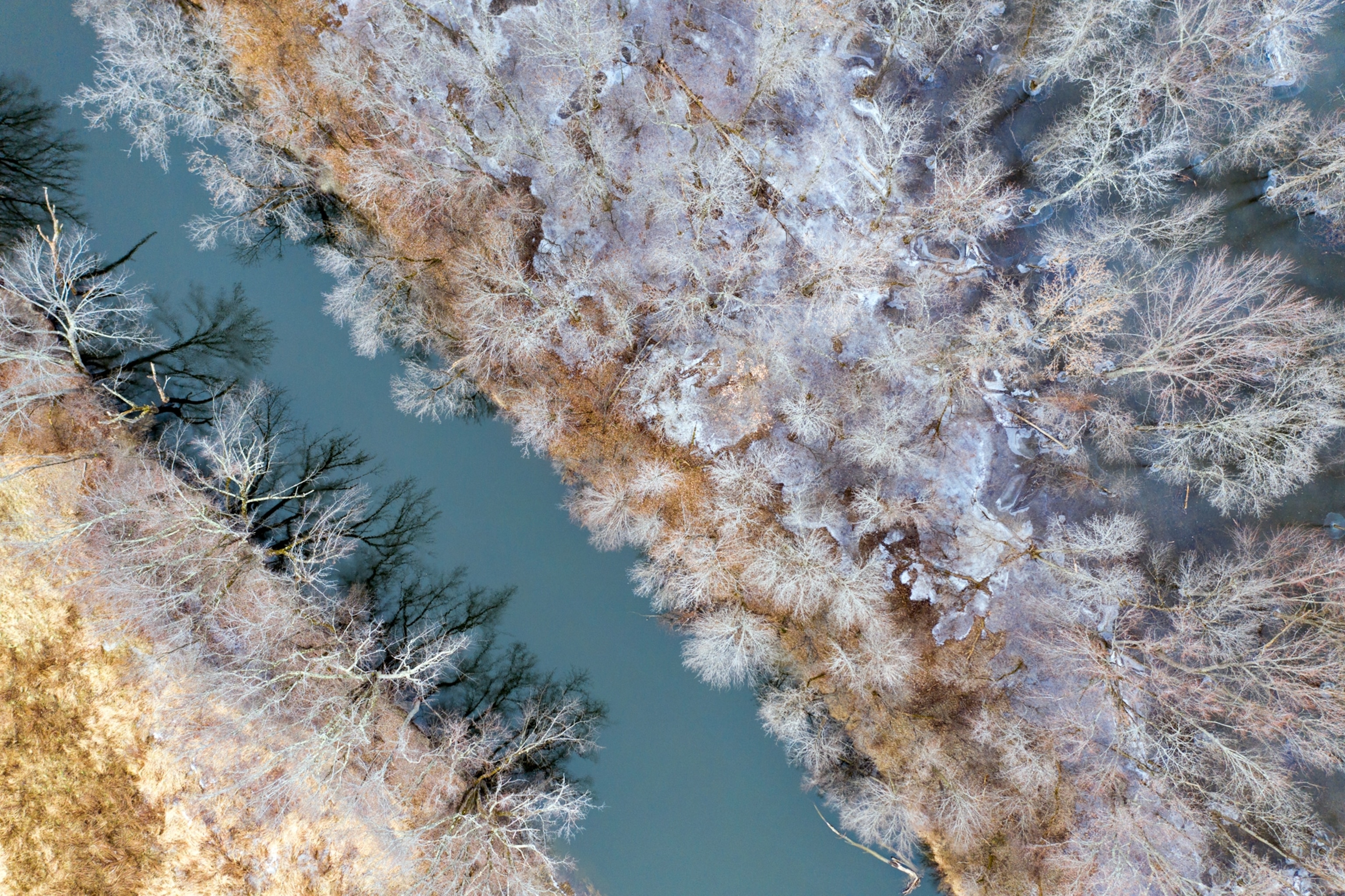 Icy trees line Otter Creek on a gray winter day in Brandon, Vermont