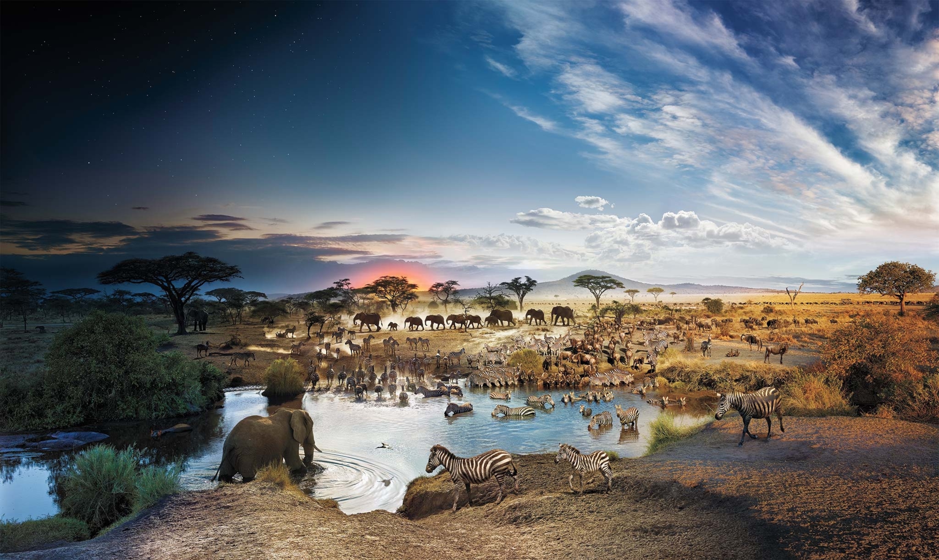 A landscape of a watering hole in the Serengeti National Park filled with all types of animals is shown from day to night in a single image that is stitched together of thousands of frames.