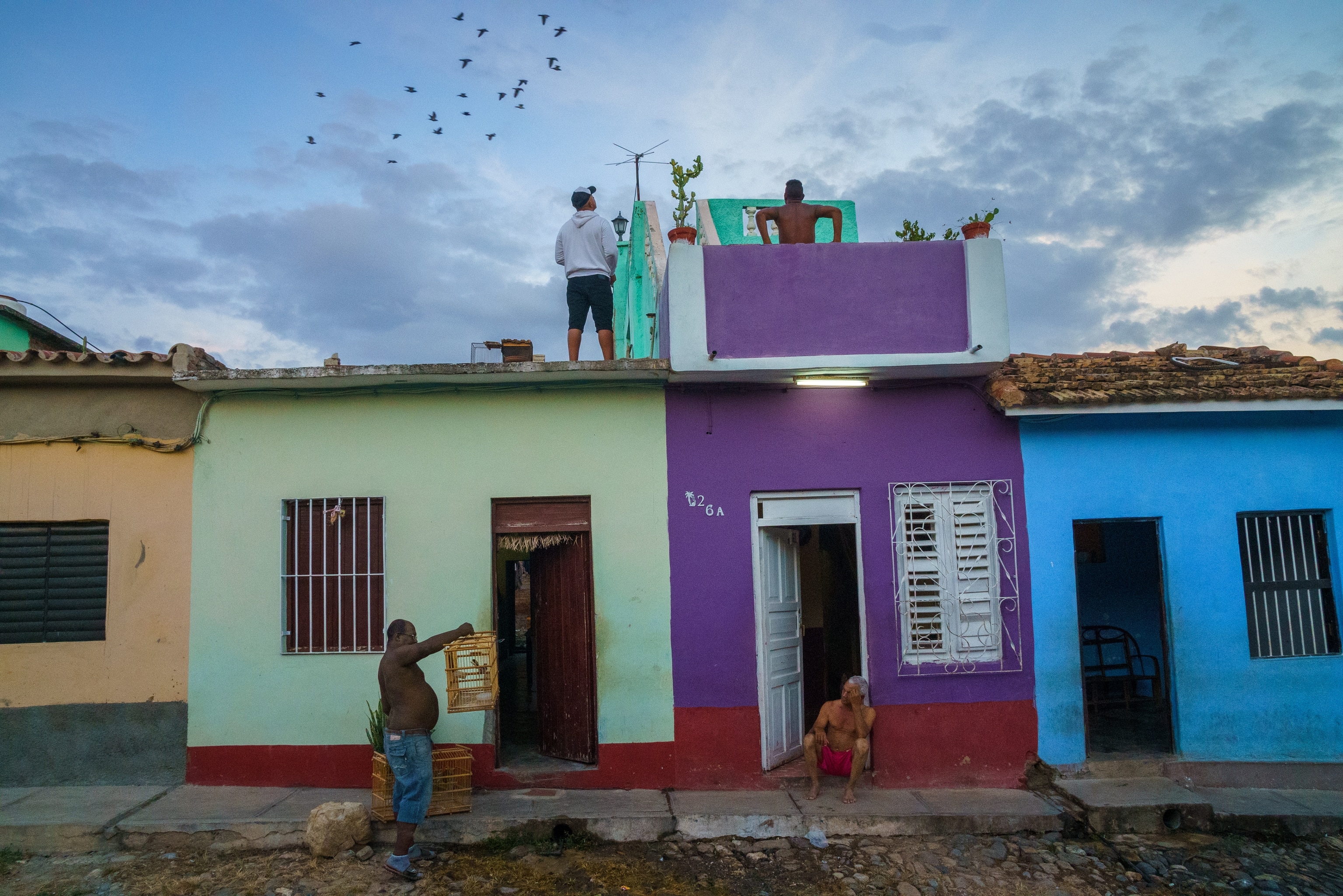 Picture of a row of different colored homes. Two men are seen standing on the roofs watching a flock of birds, as another man on the ground below examines a bird housed in a wood cage.