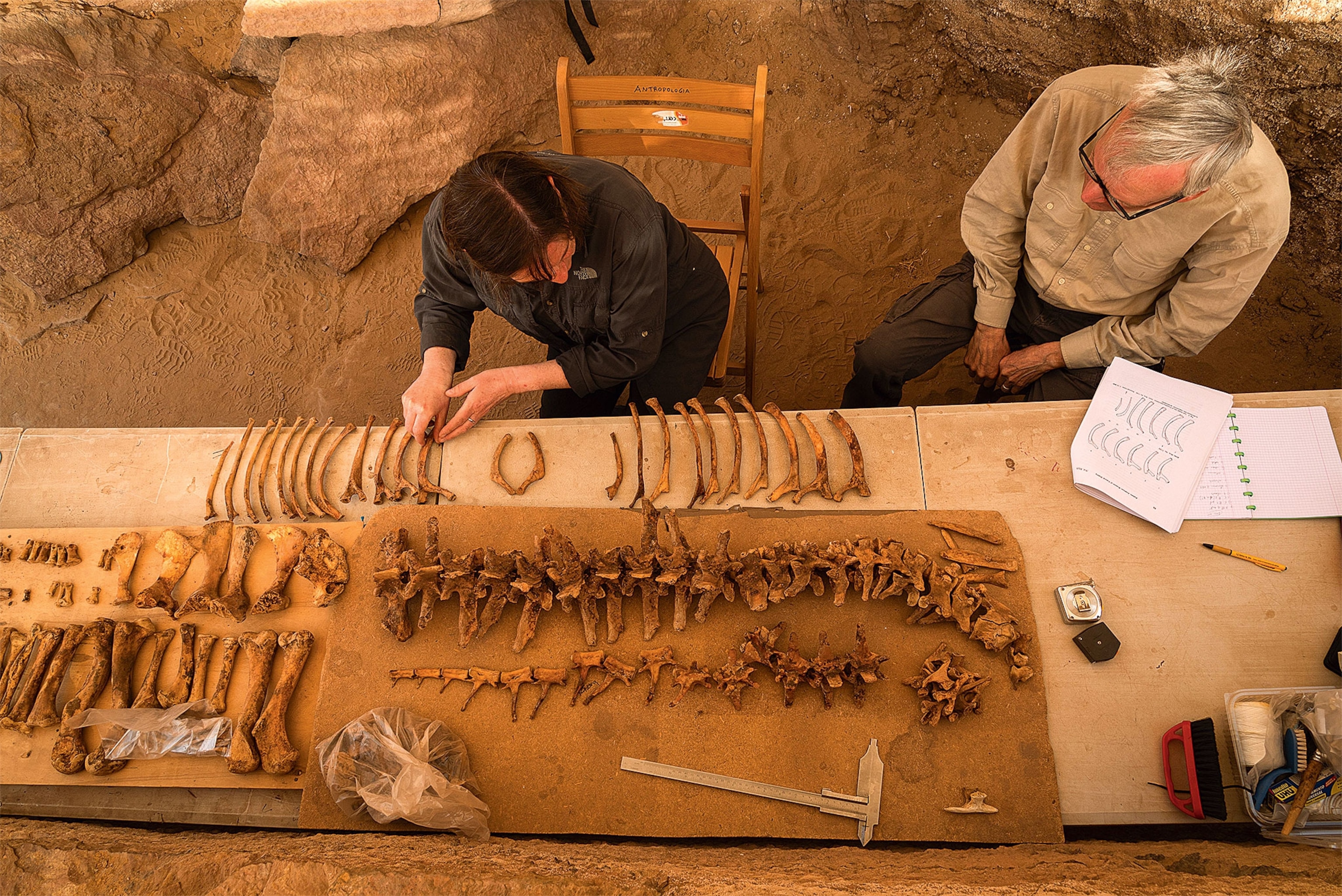 An aerial view of 2 archaeologists examining bones in a tomb