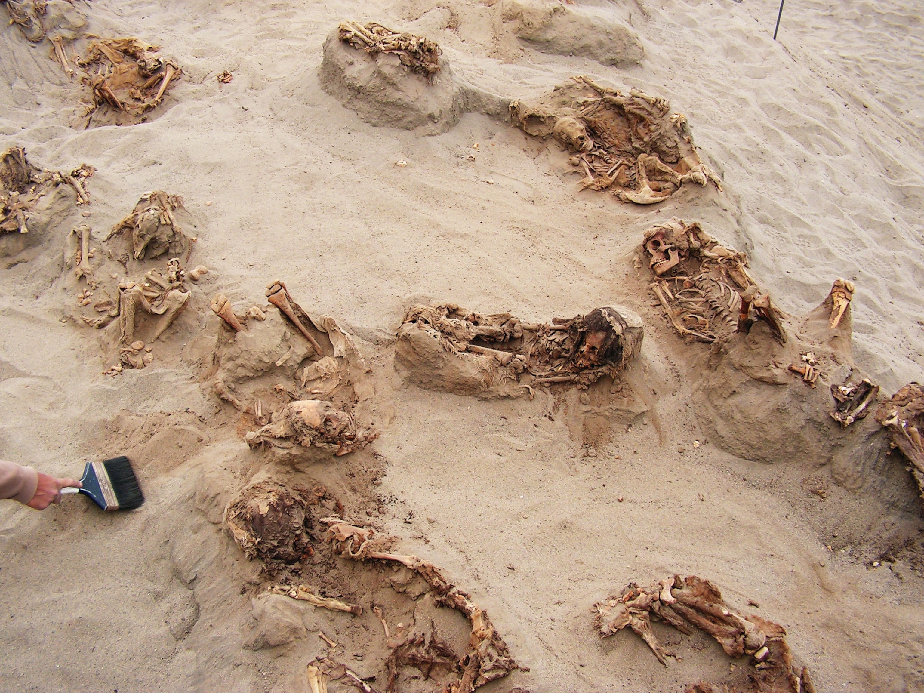 several skeletal remains of children's bodies.