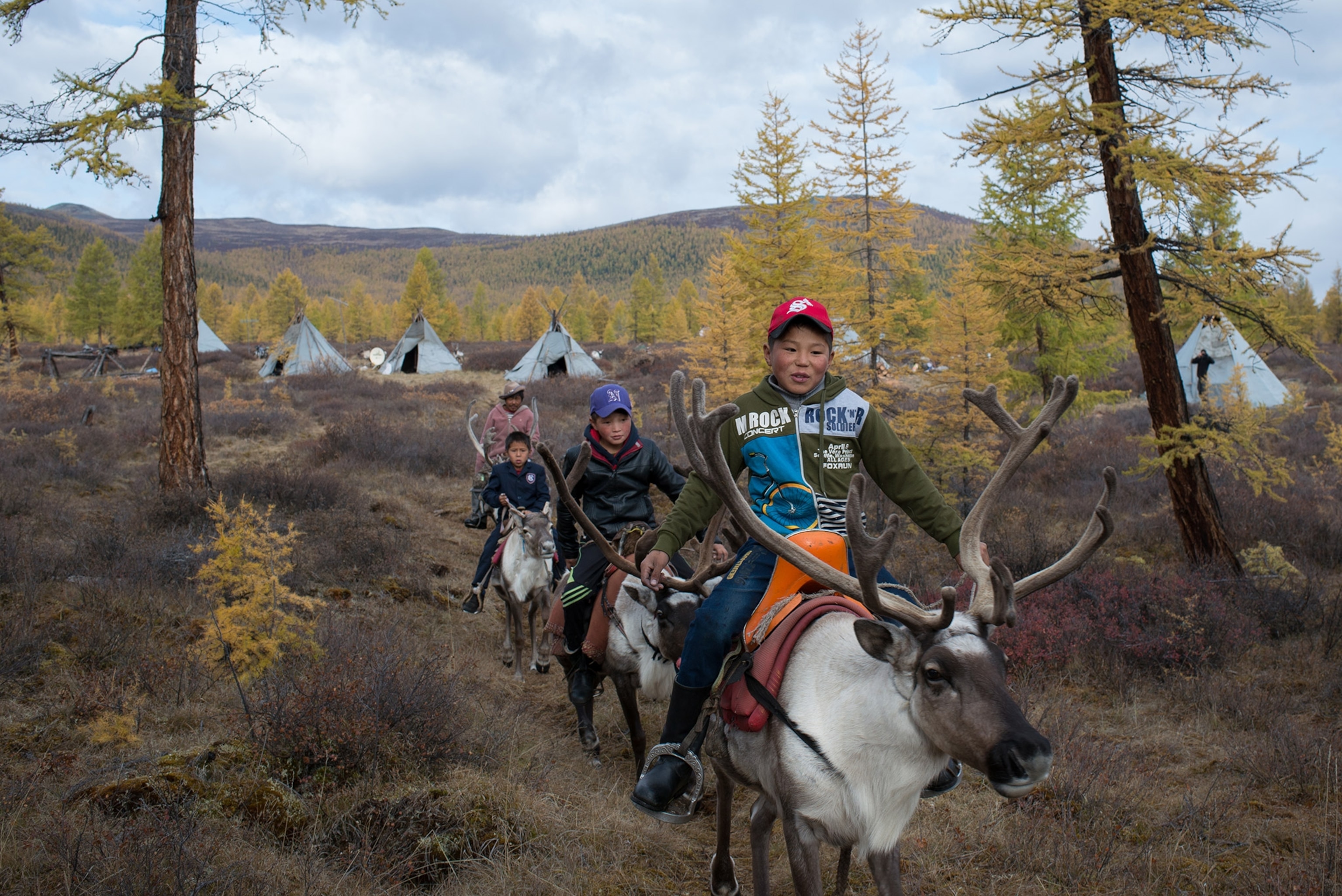 three young boys riding reindeers in Mongolia