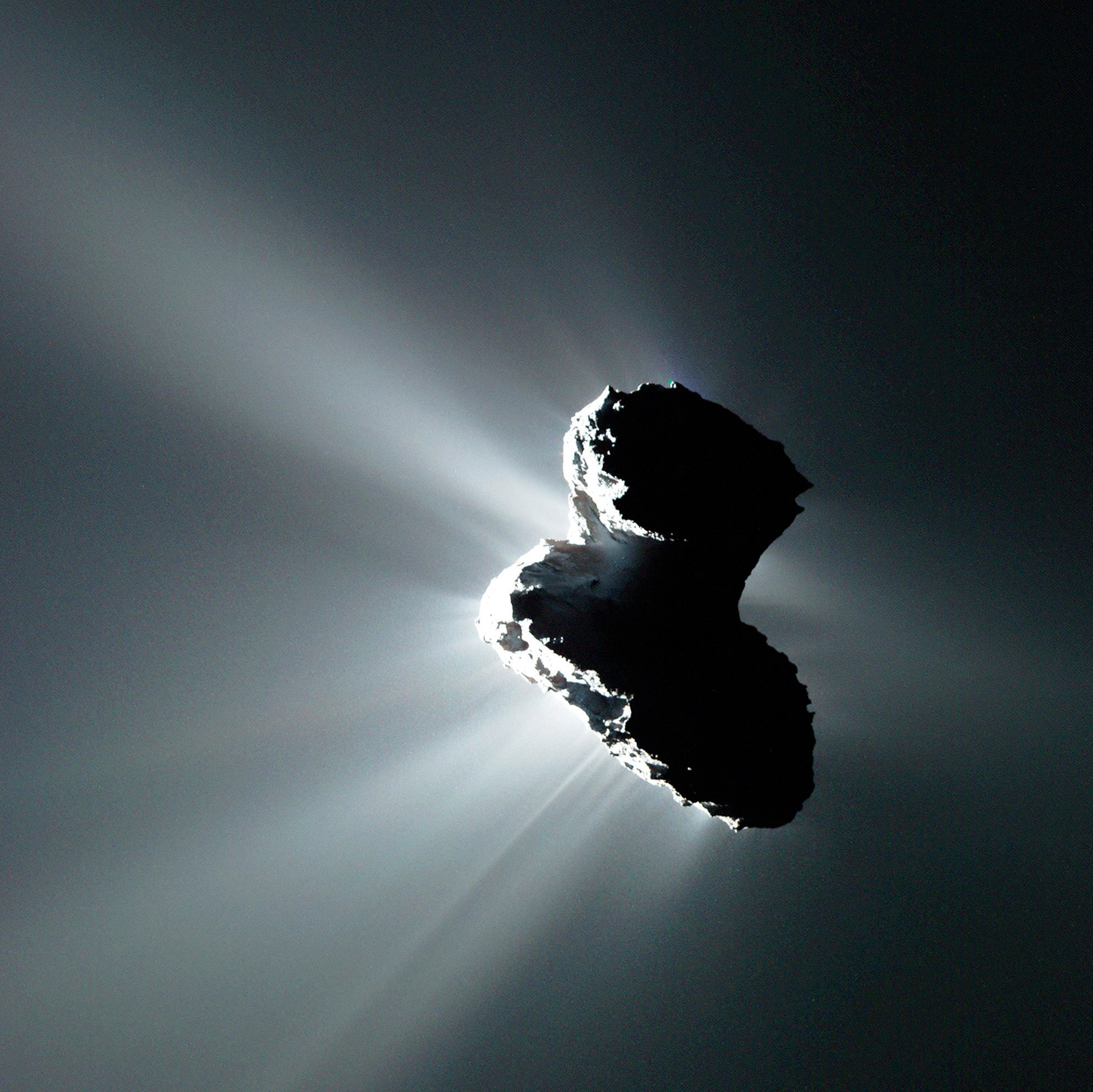 Picture of comet orbiting around the sun