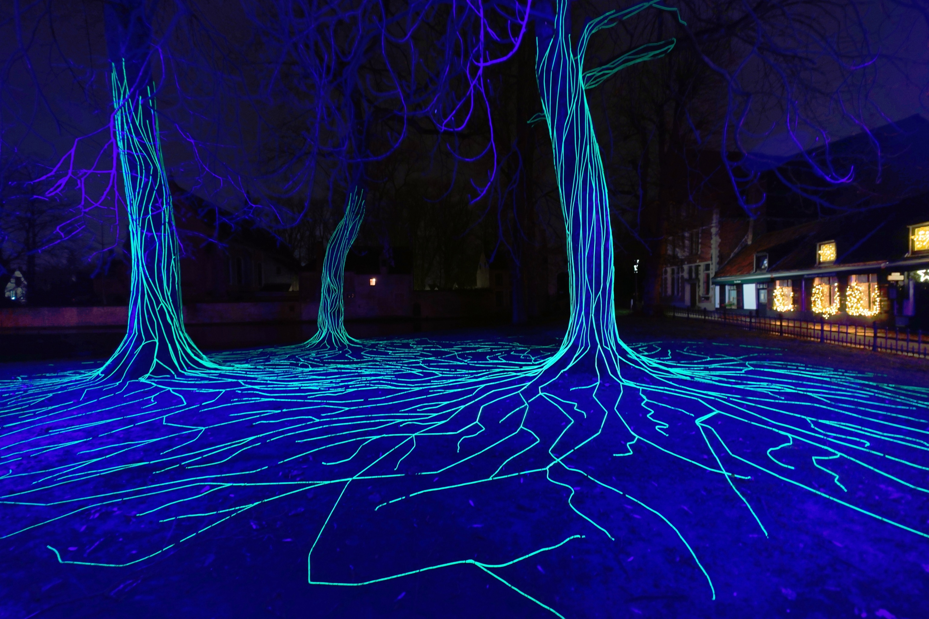 green neon lights wind around trees illuminated blue in the dark night