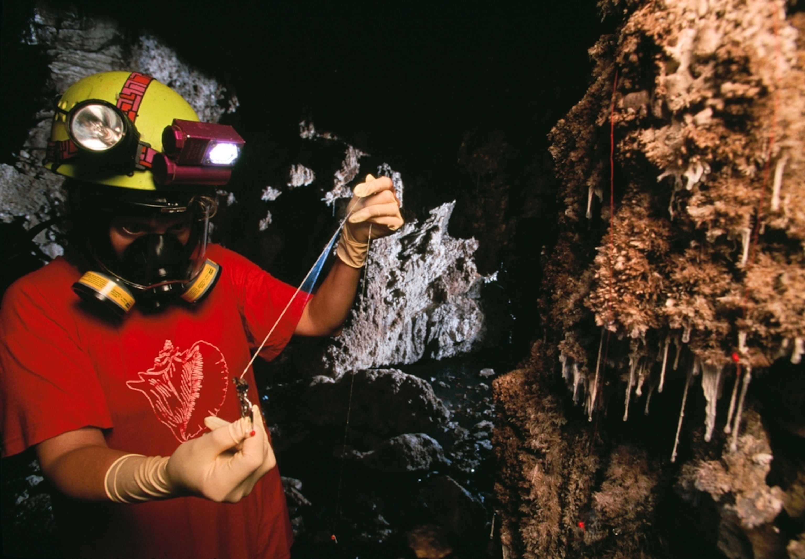 A biologist examines bacteria colonies in a cave