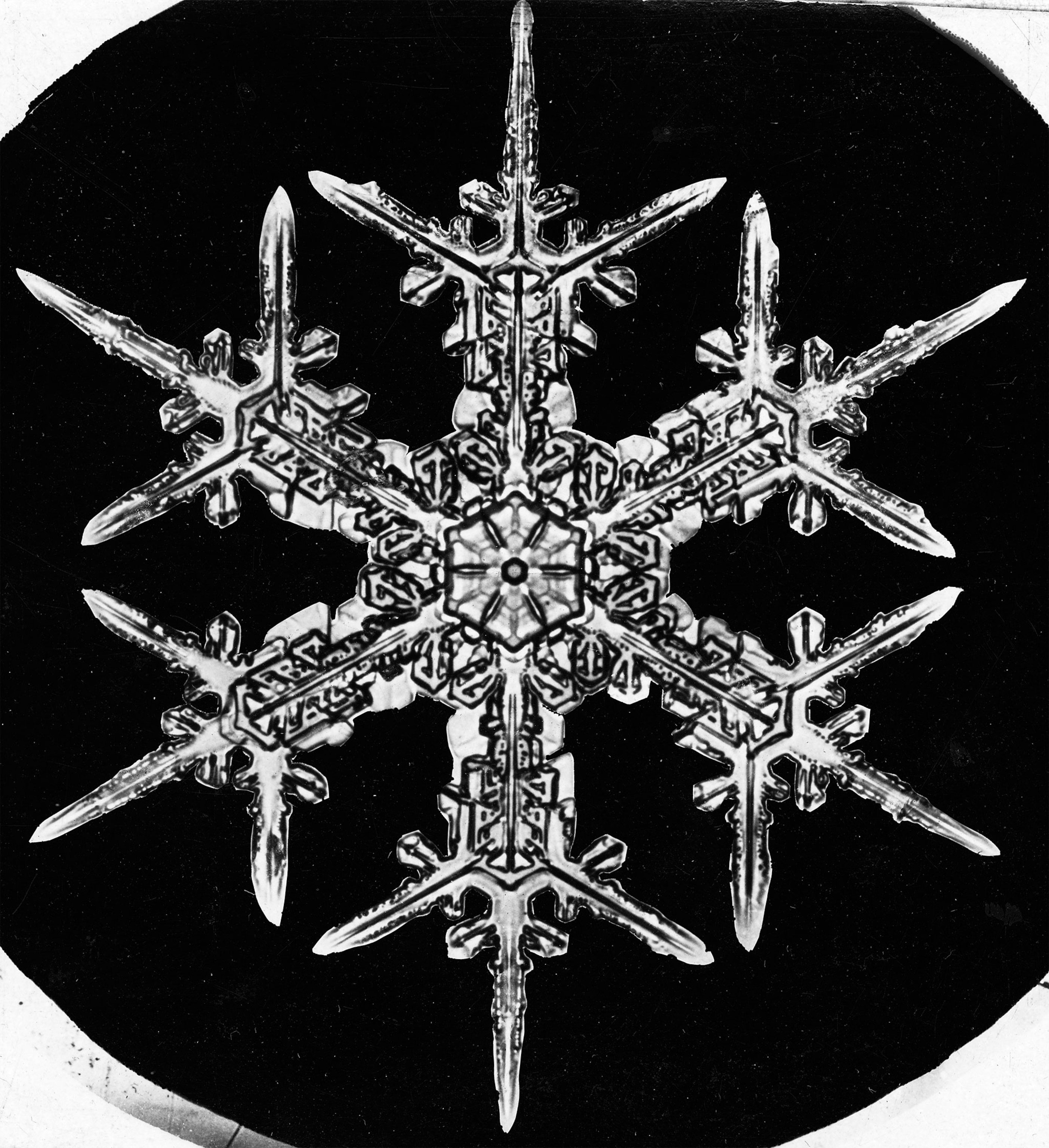 closeup of snowflake