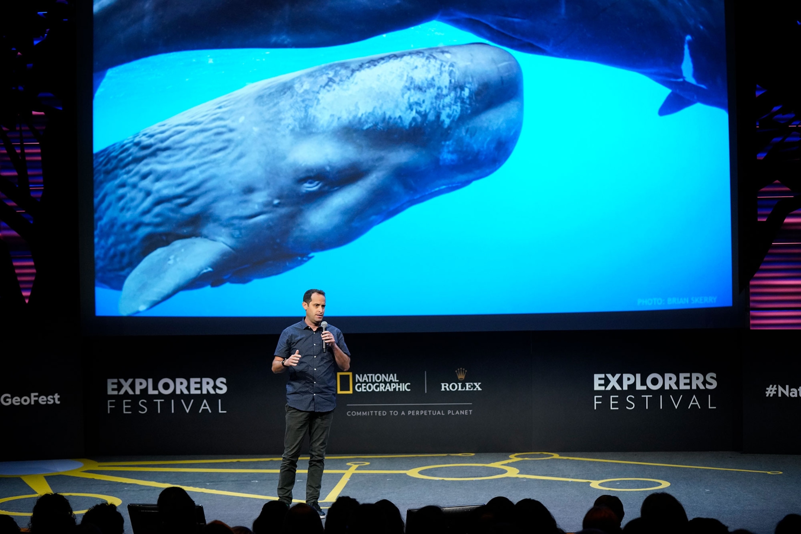 Shane Gero, National Geographic Explorer