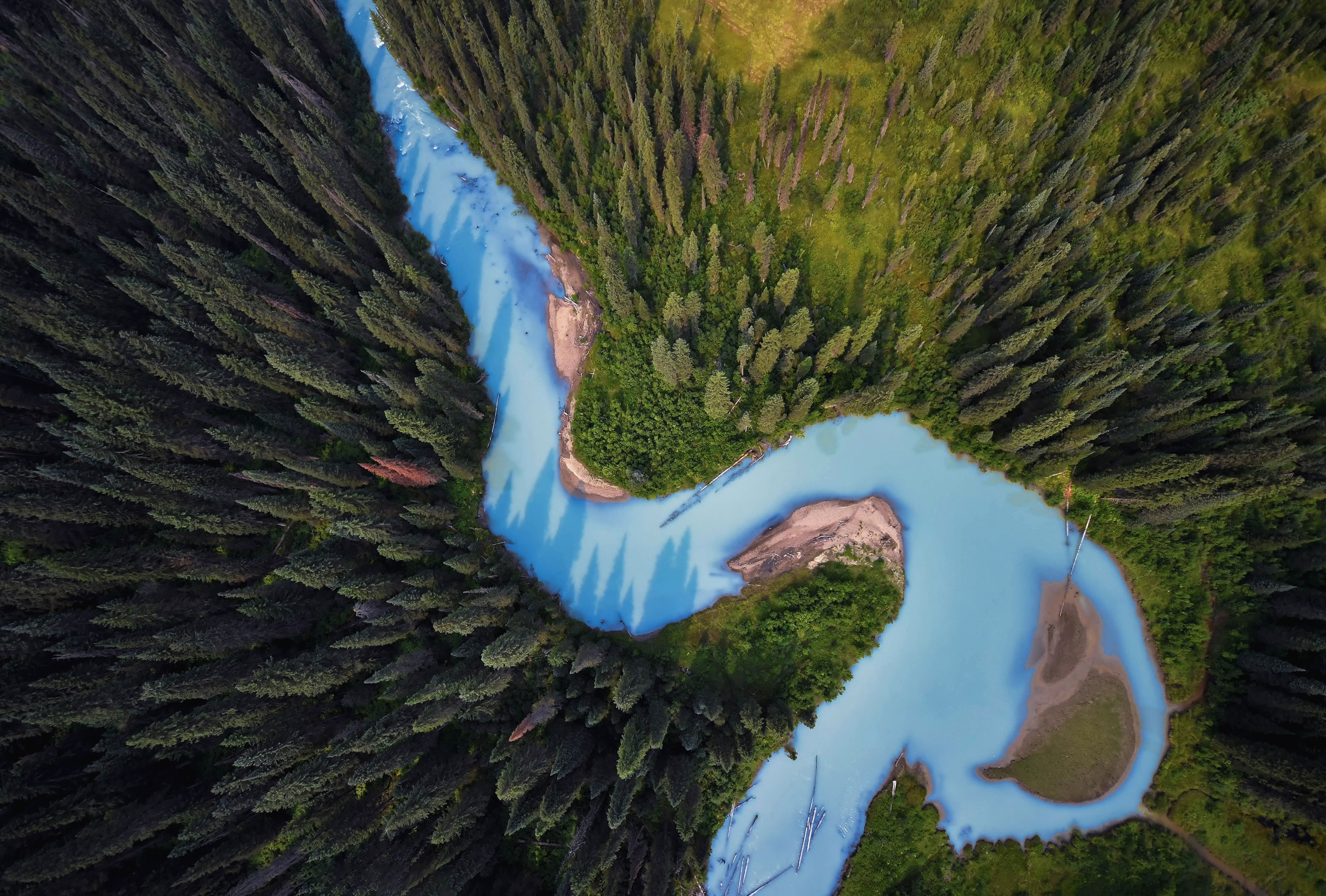 the Holmes River