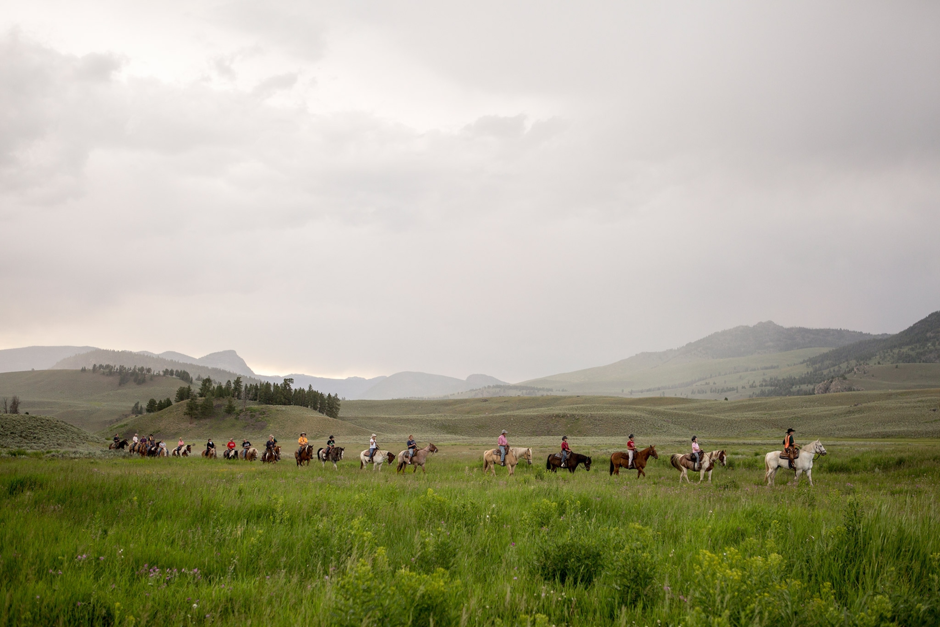Tourists horseback ride in Yellowstone's Lamar Valley. Wyoming