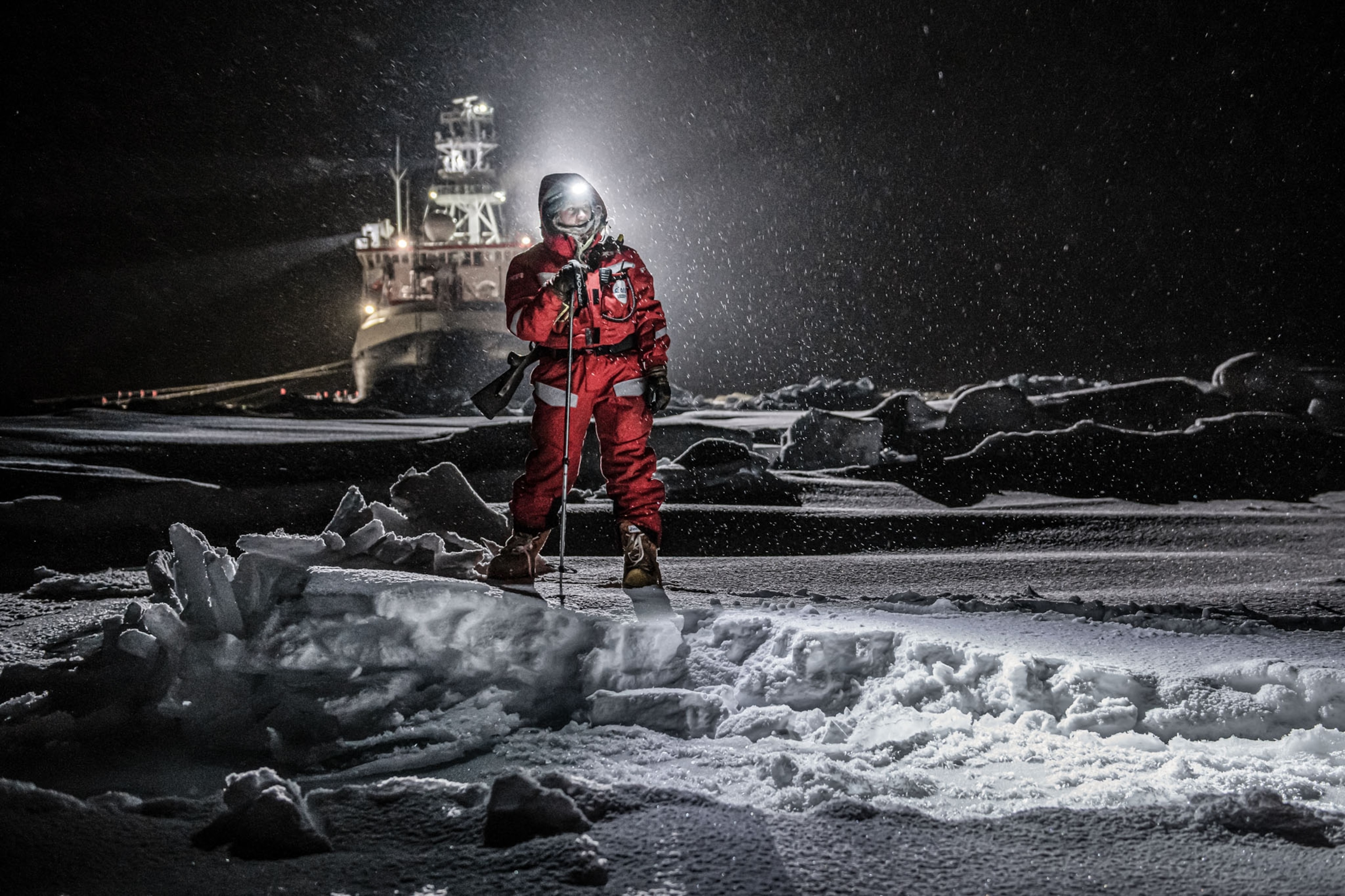 Picture of female polar bear guard.