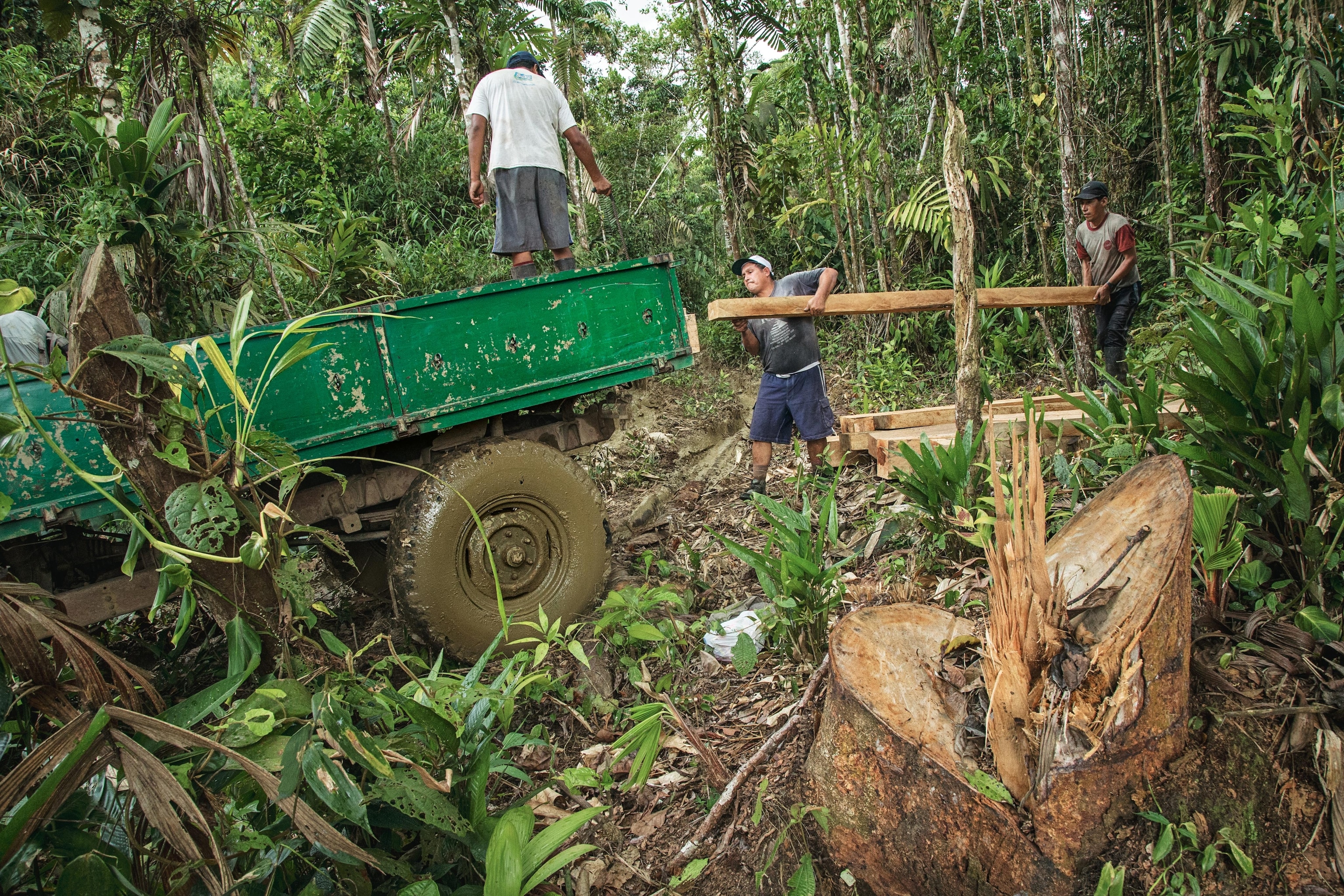 loggers removing timber near Manú National Park, Peru