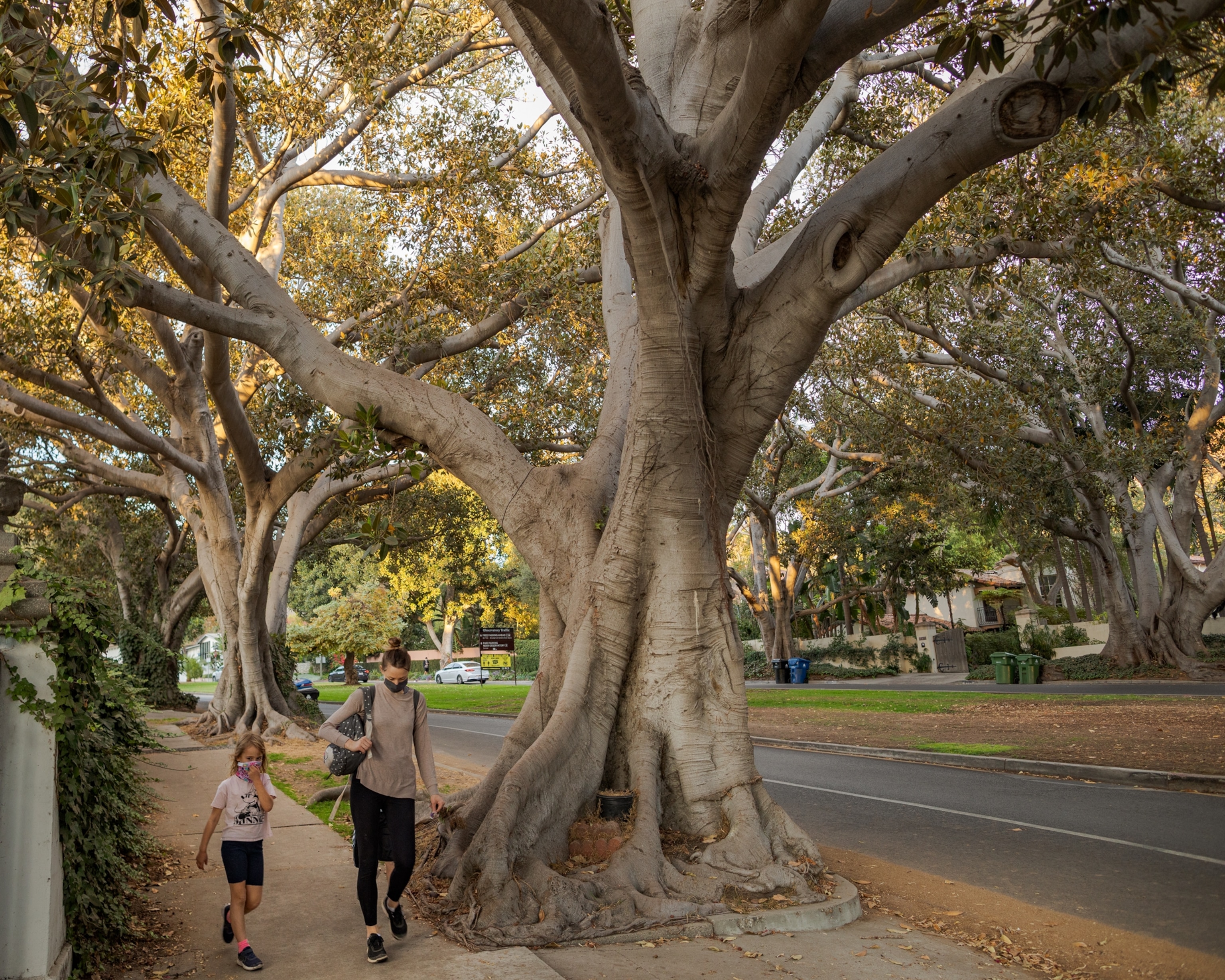 Picture of woman and young girl in face masks walking along street under tree canopy in the affluent and historically grade A neighborhood.