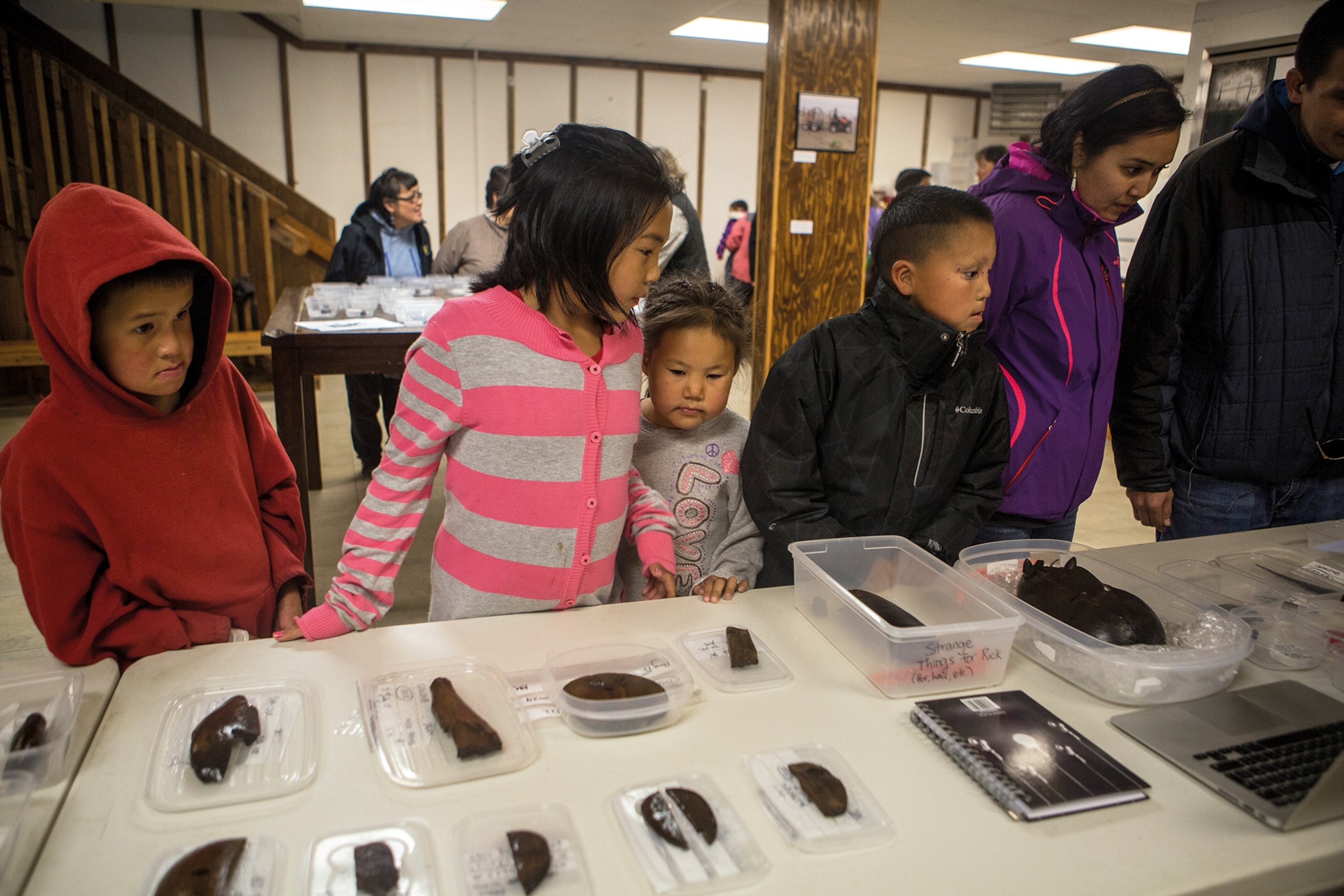 After the end of each archaeological dig season, Yup'ik locals view the latest finds from the Nunalleq site.