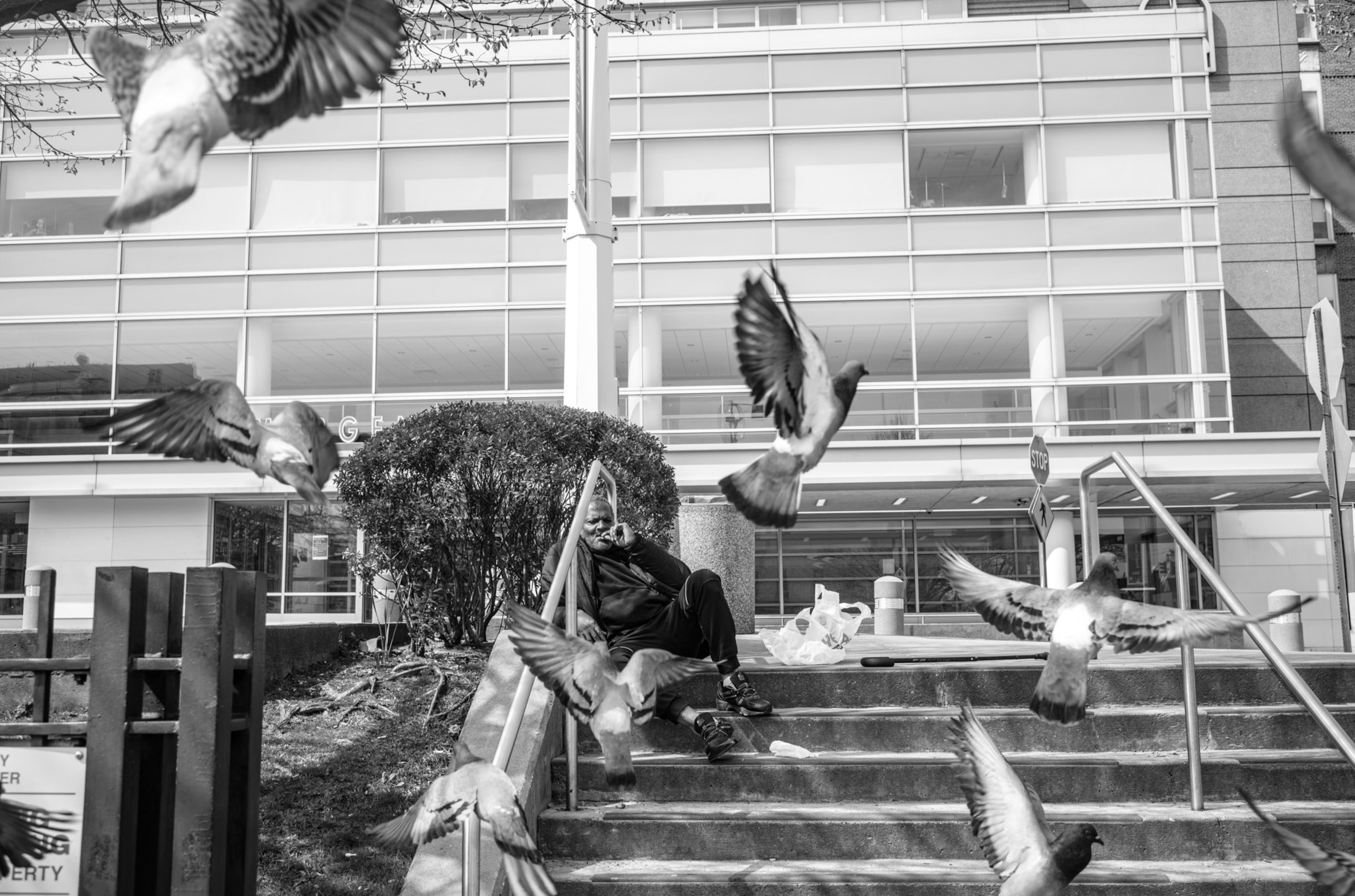 a person sitting on steps outside of a medical center as pigeons fly around them
