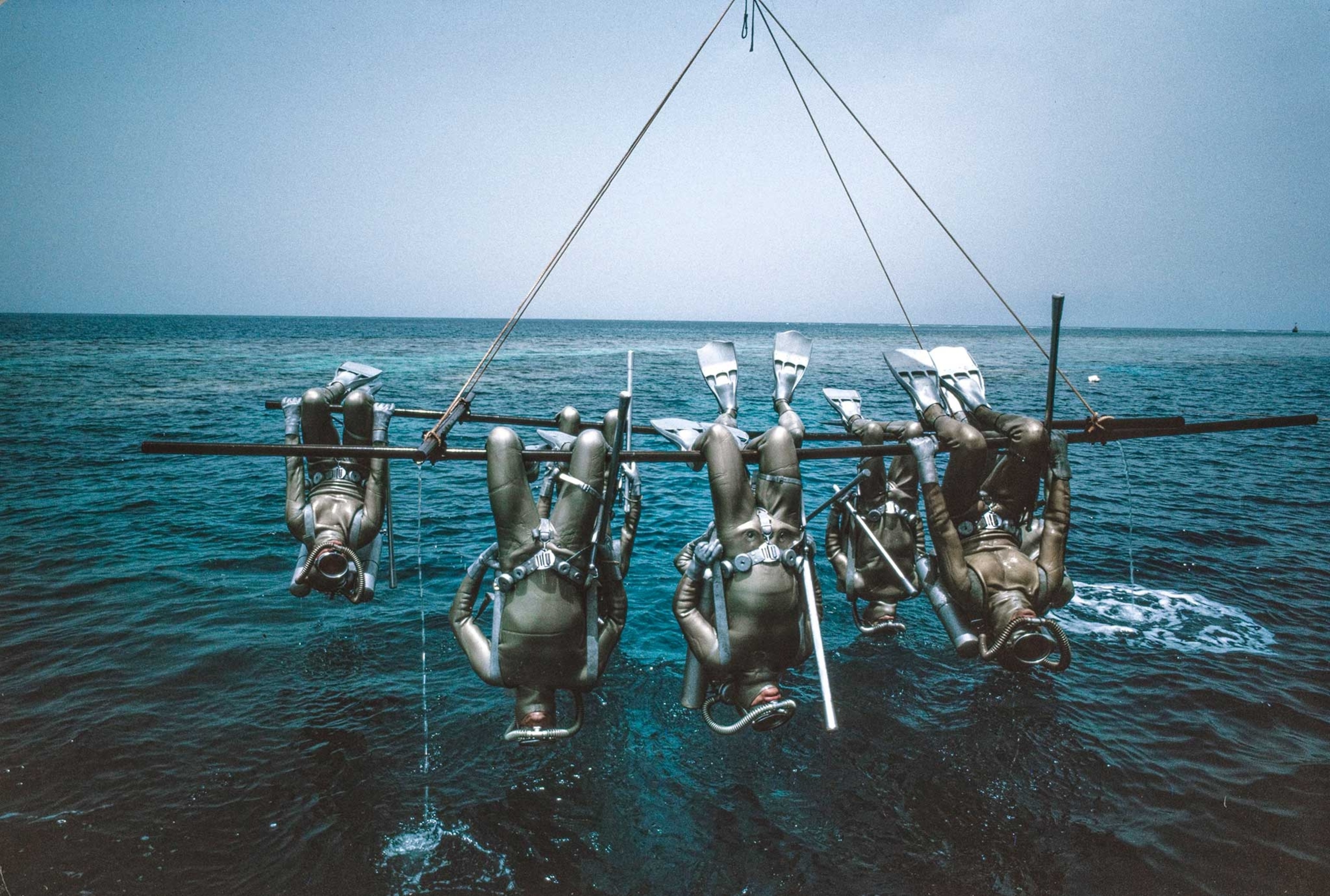 photo of divers
