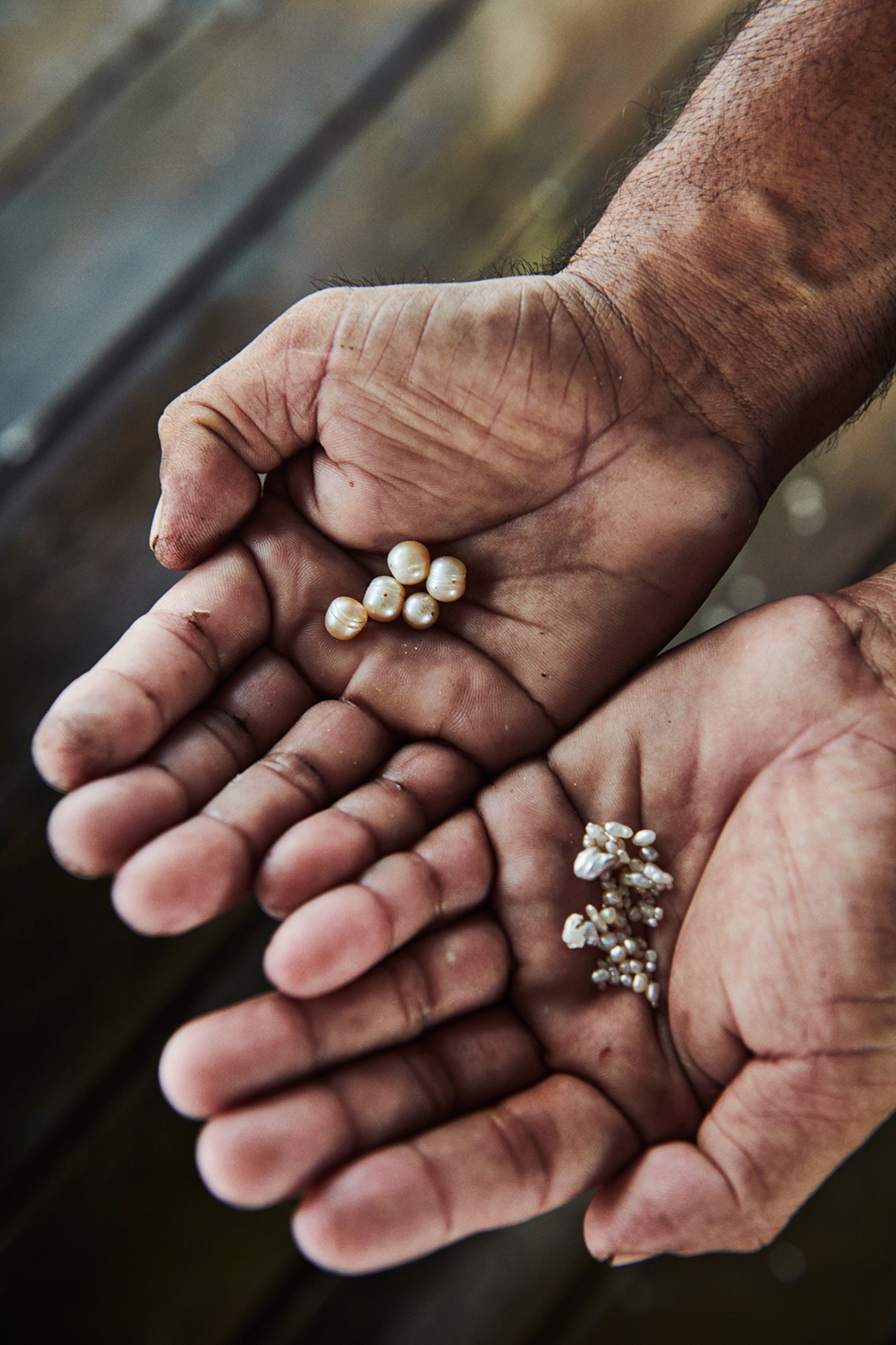 Two hands hold pearls of different sizes in each. They are a milky, off white colour, and are irregular textures.