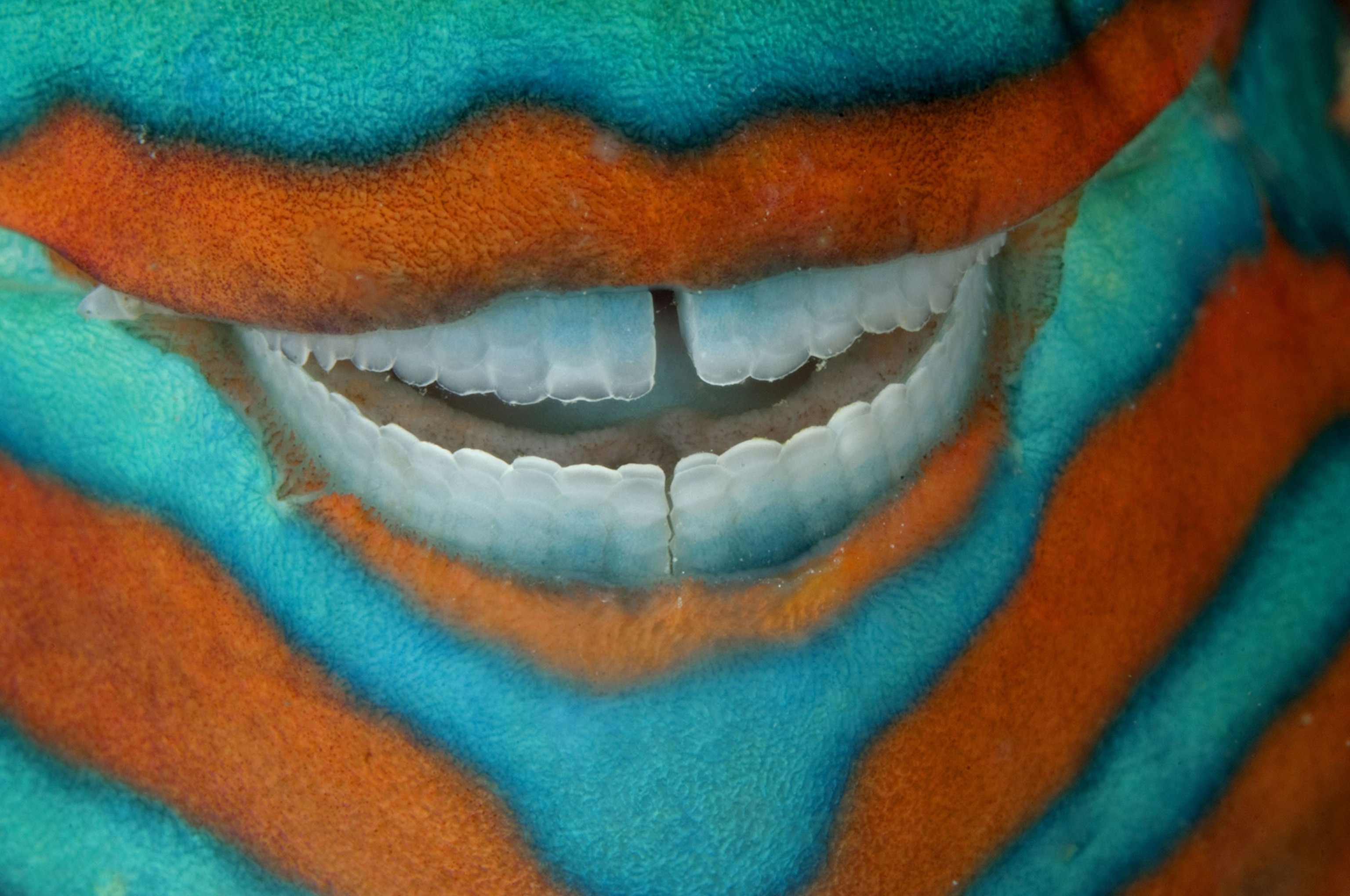 Great Barrier Reef