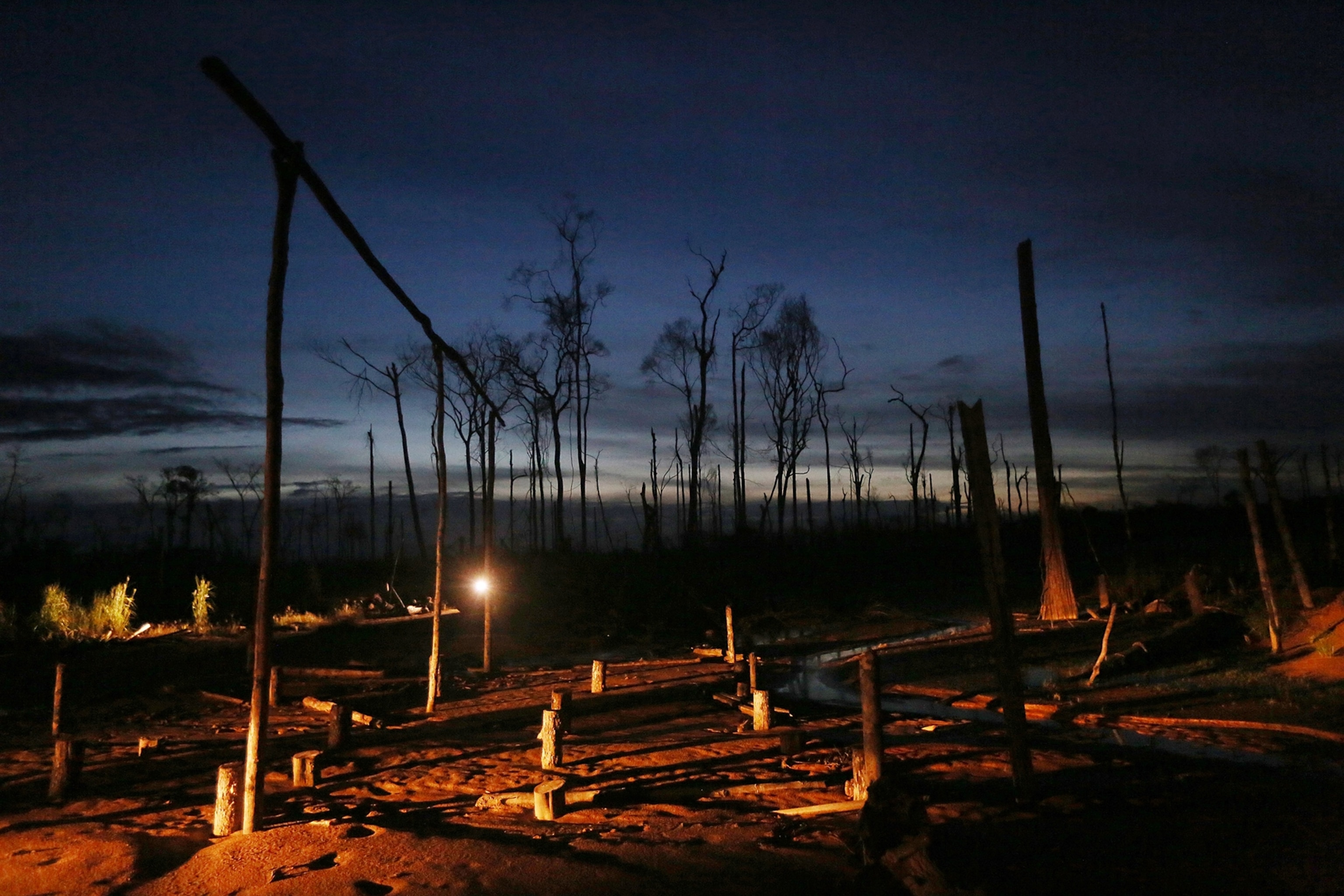 a cut down rainforest