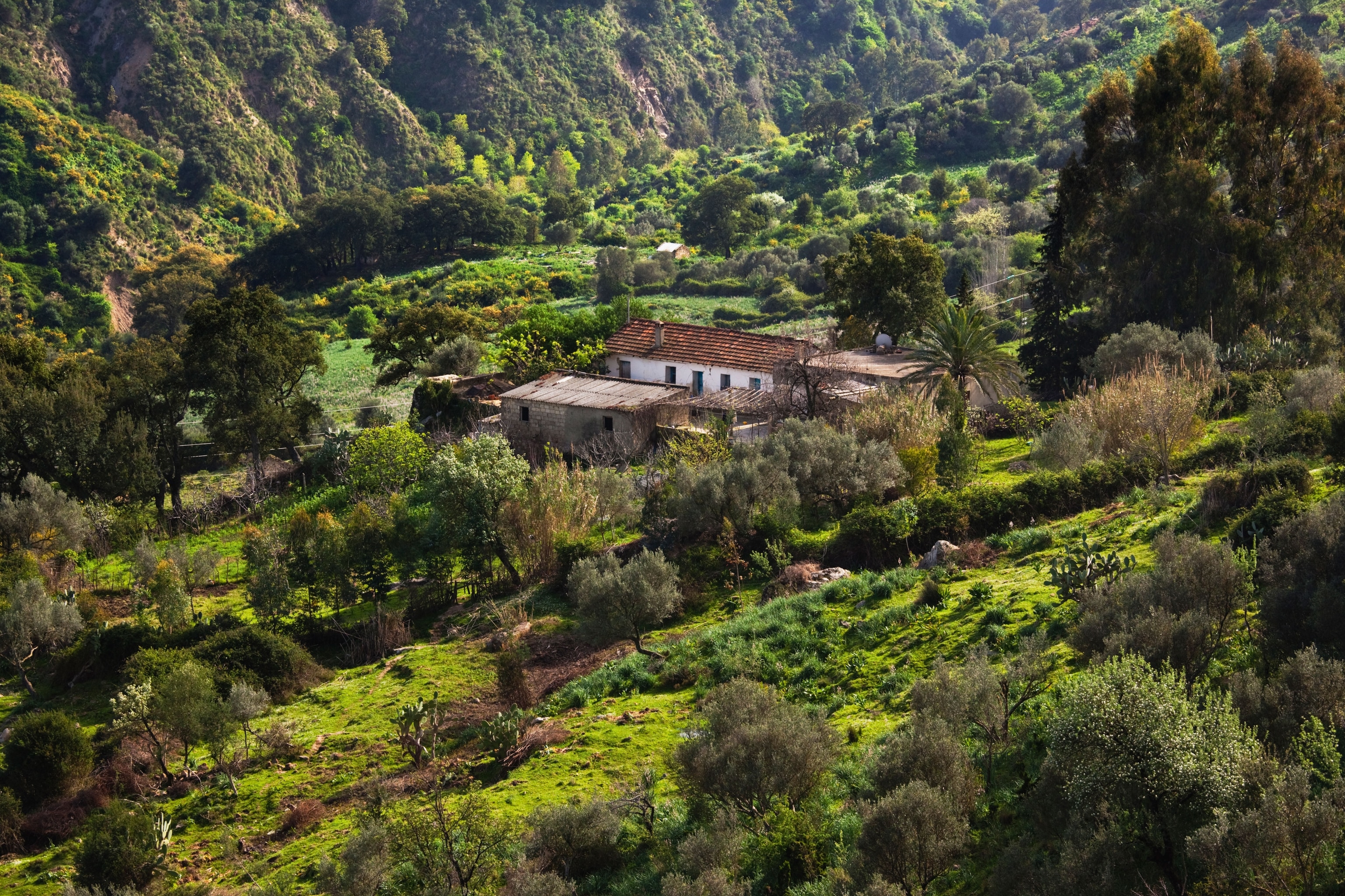 Babouch, mountain landscape