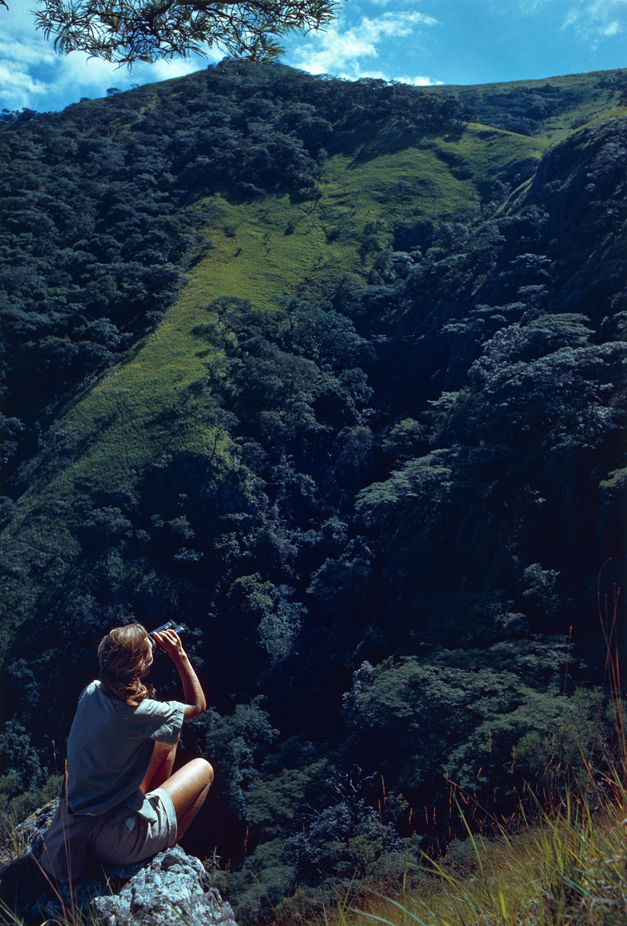 Jane Goodall looking through binoculars