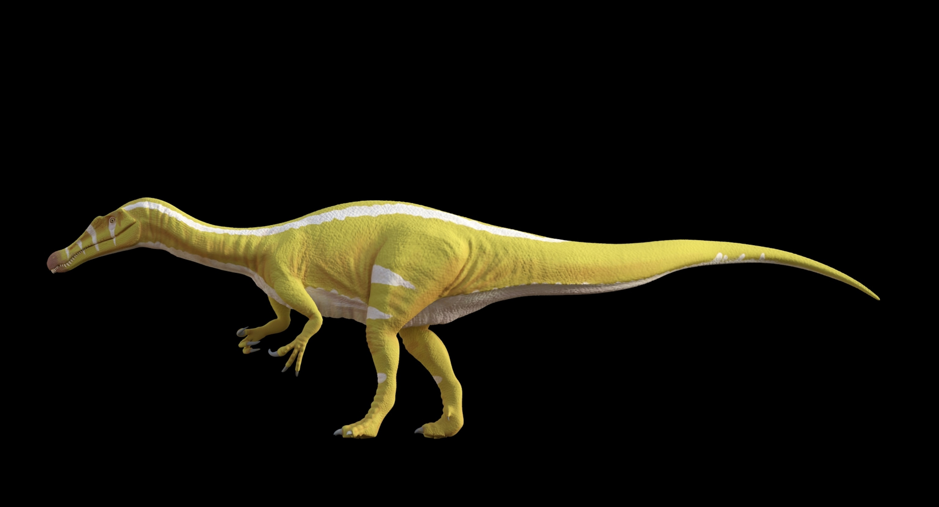 A computer generated rendering of Protathlitis cinctorrensis gen. et sp. nov., which has yellow skin with white stripes.