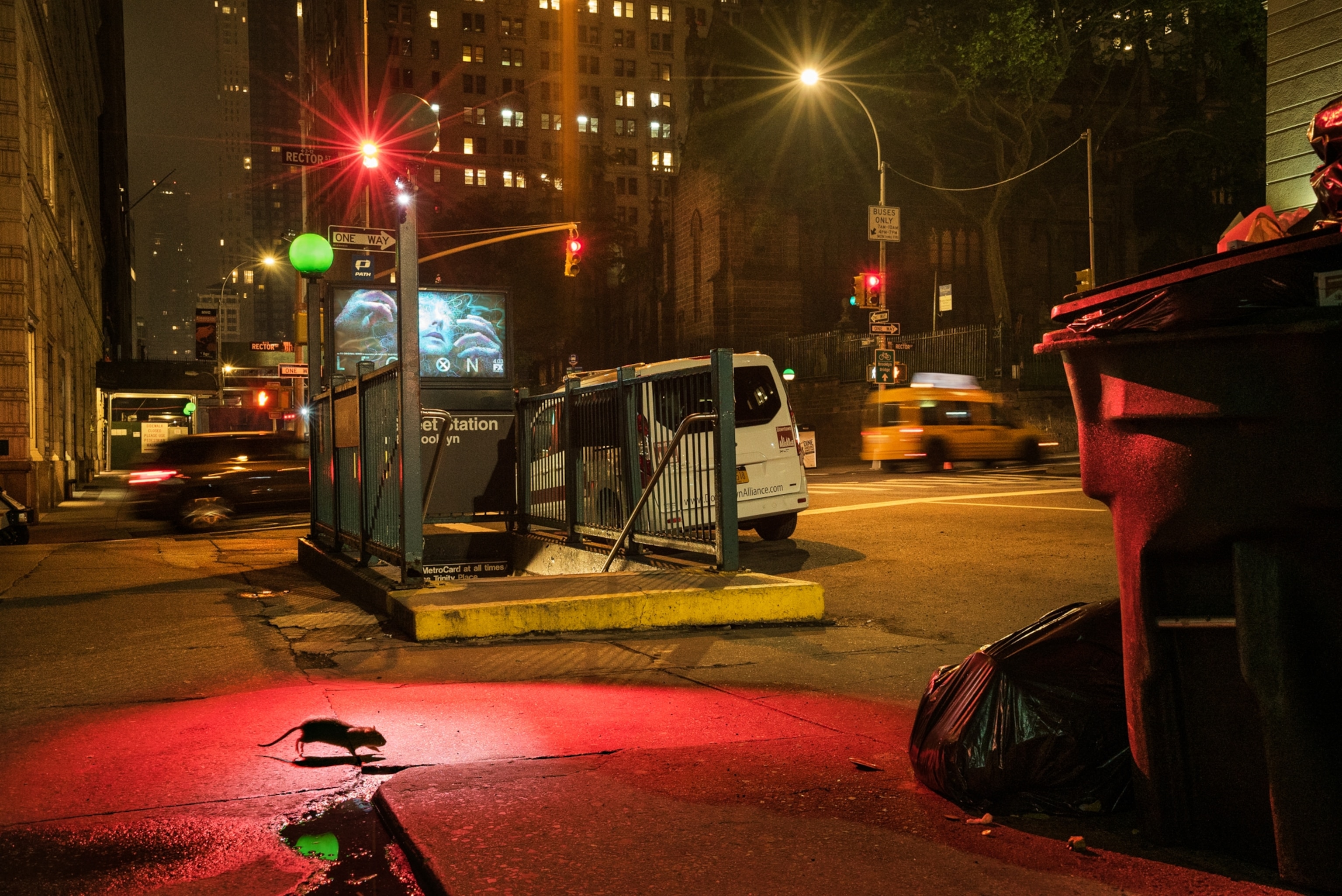 A rat is illuminated by a red light is silhouetted.