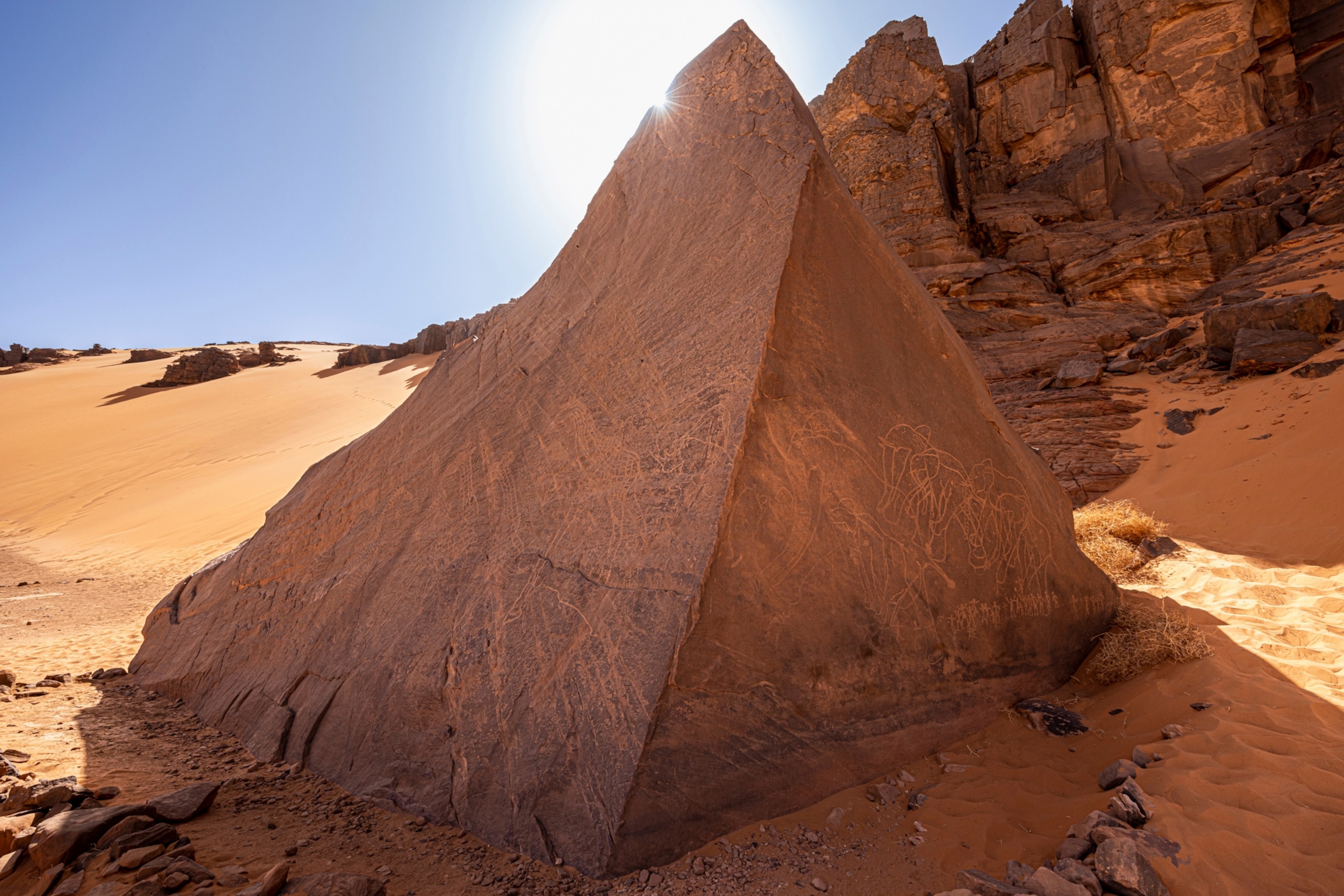 Algeria rock art