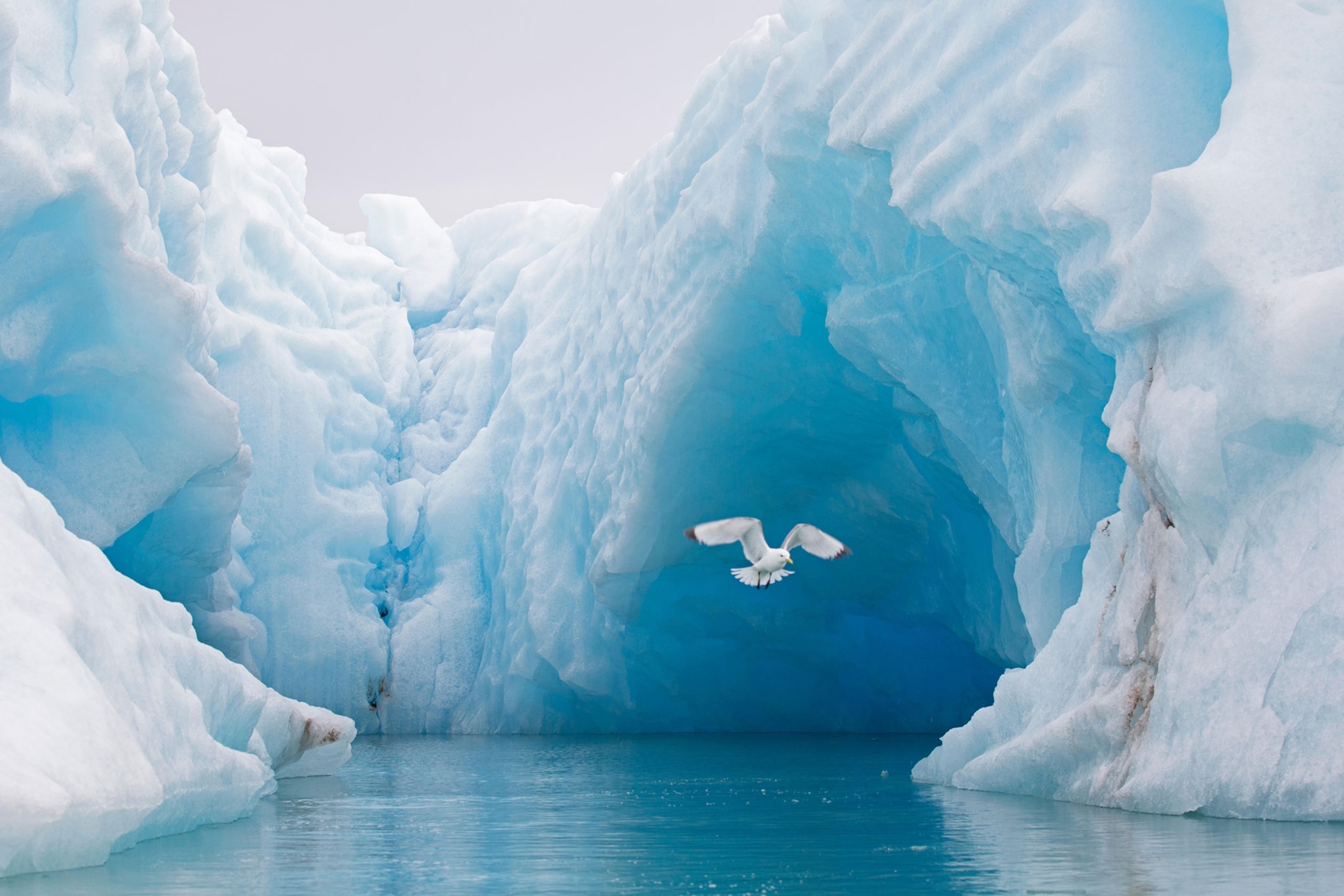 an iceberg