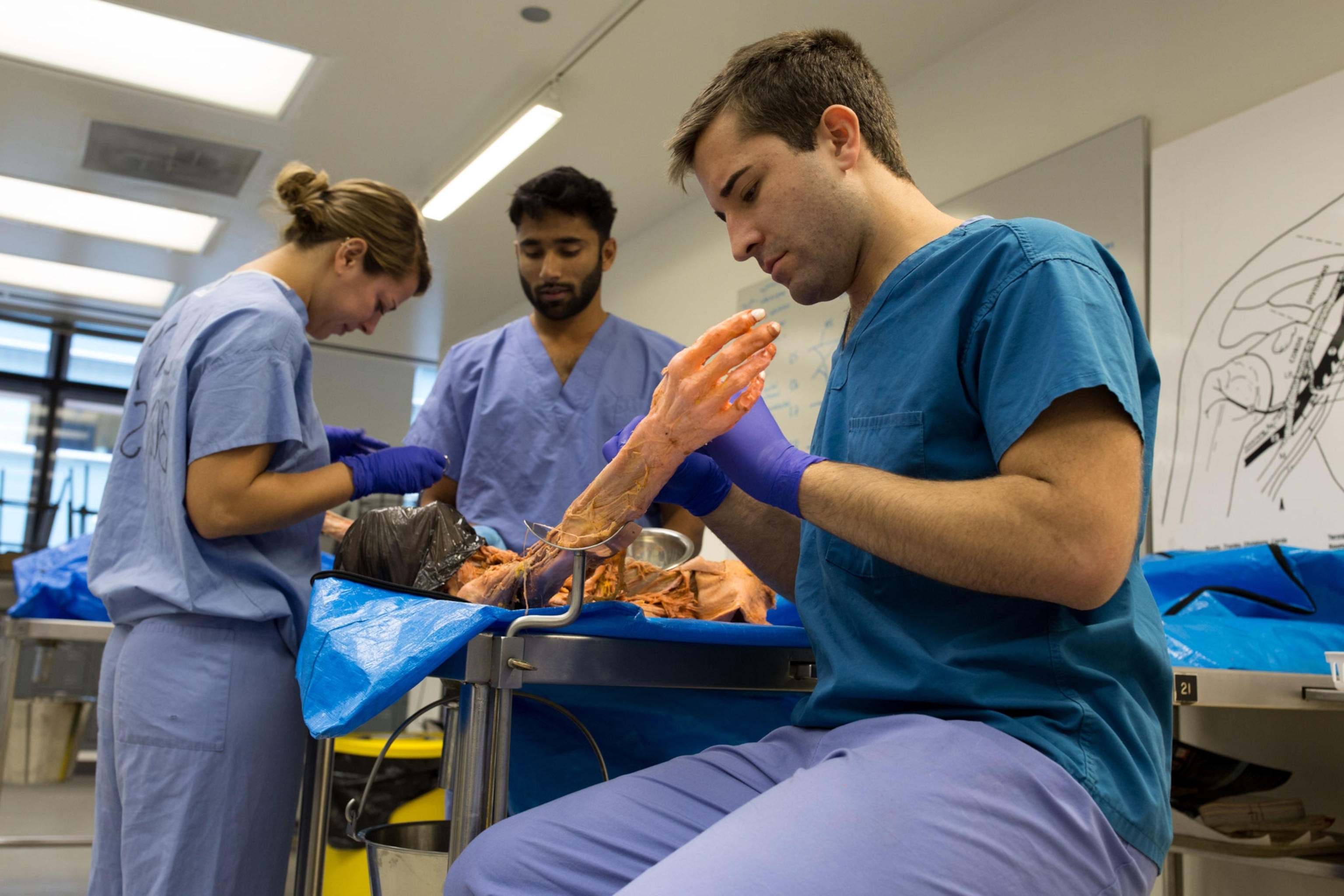 medical students