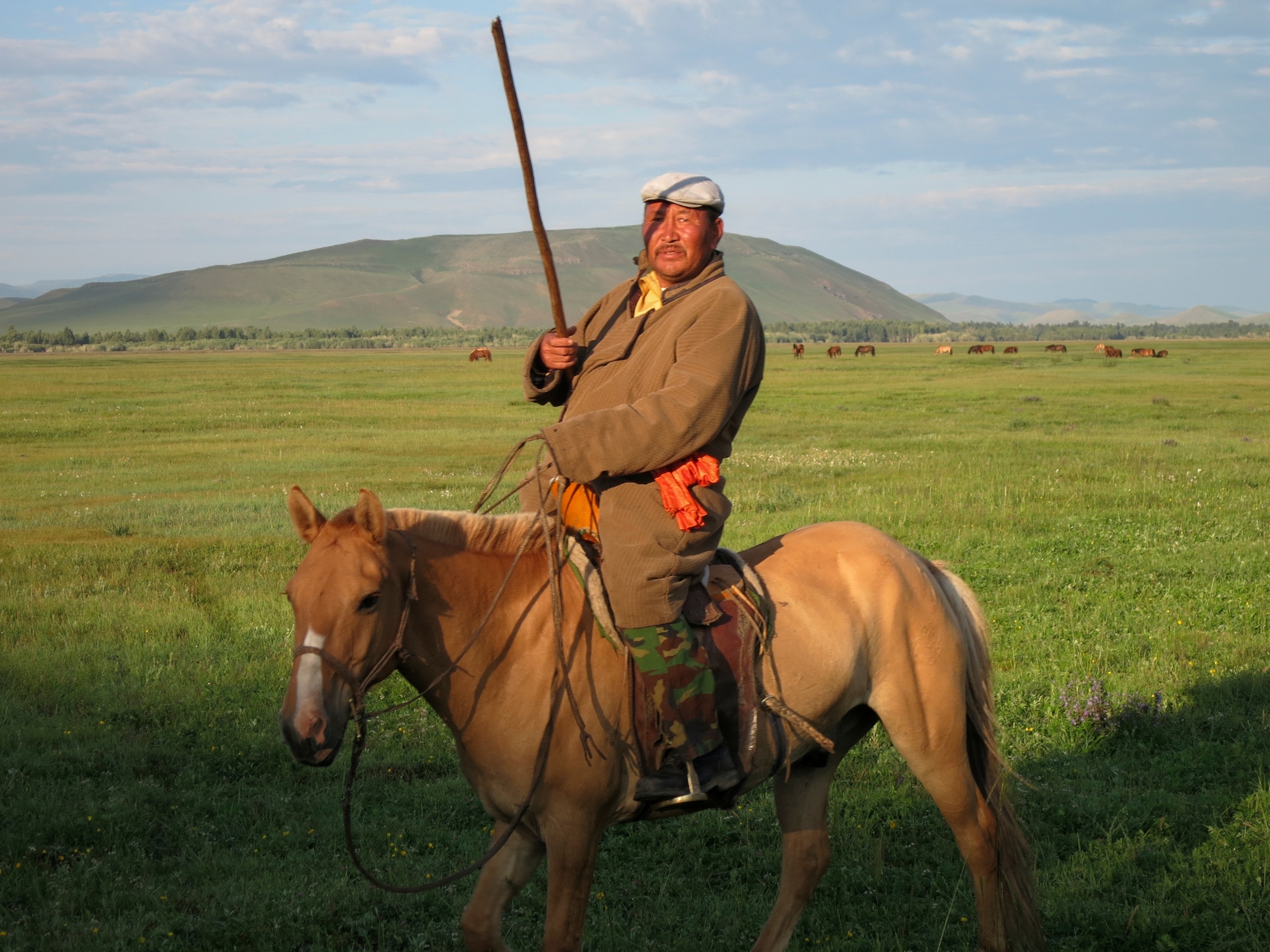 A modern Mongolian man on a horse.