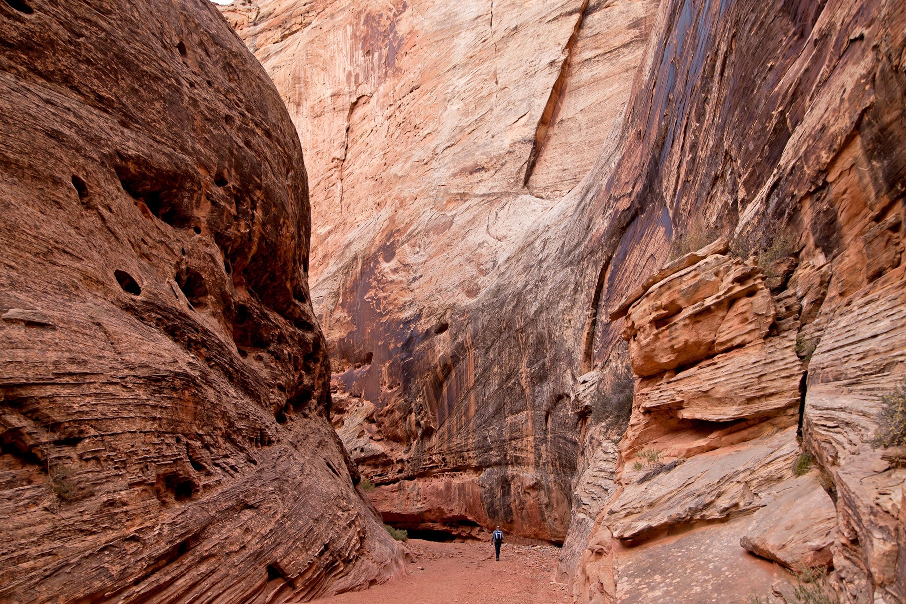 a hiker in a canyon, Capitol Reef National Park, Utah