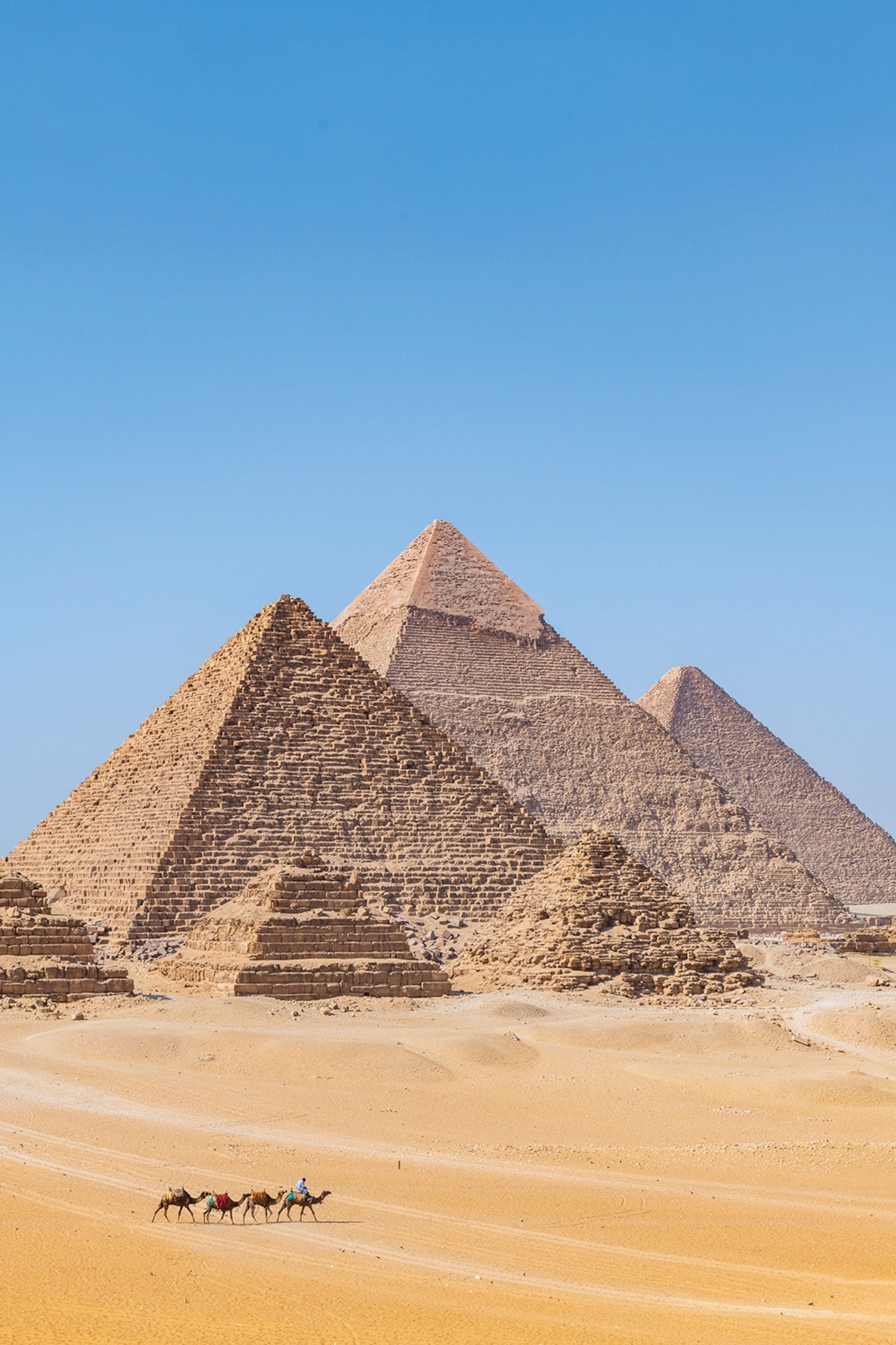 A wide shot of a camel train at the Pyramids of Giza