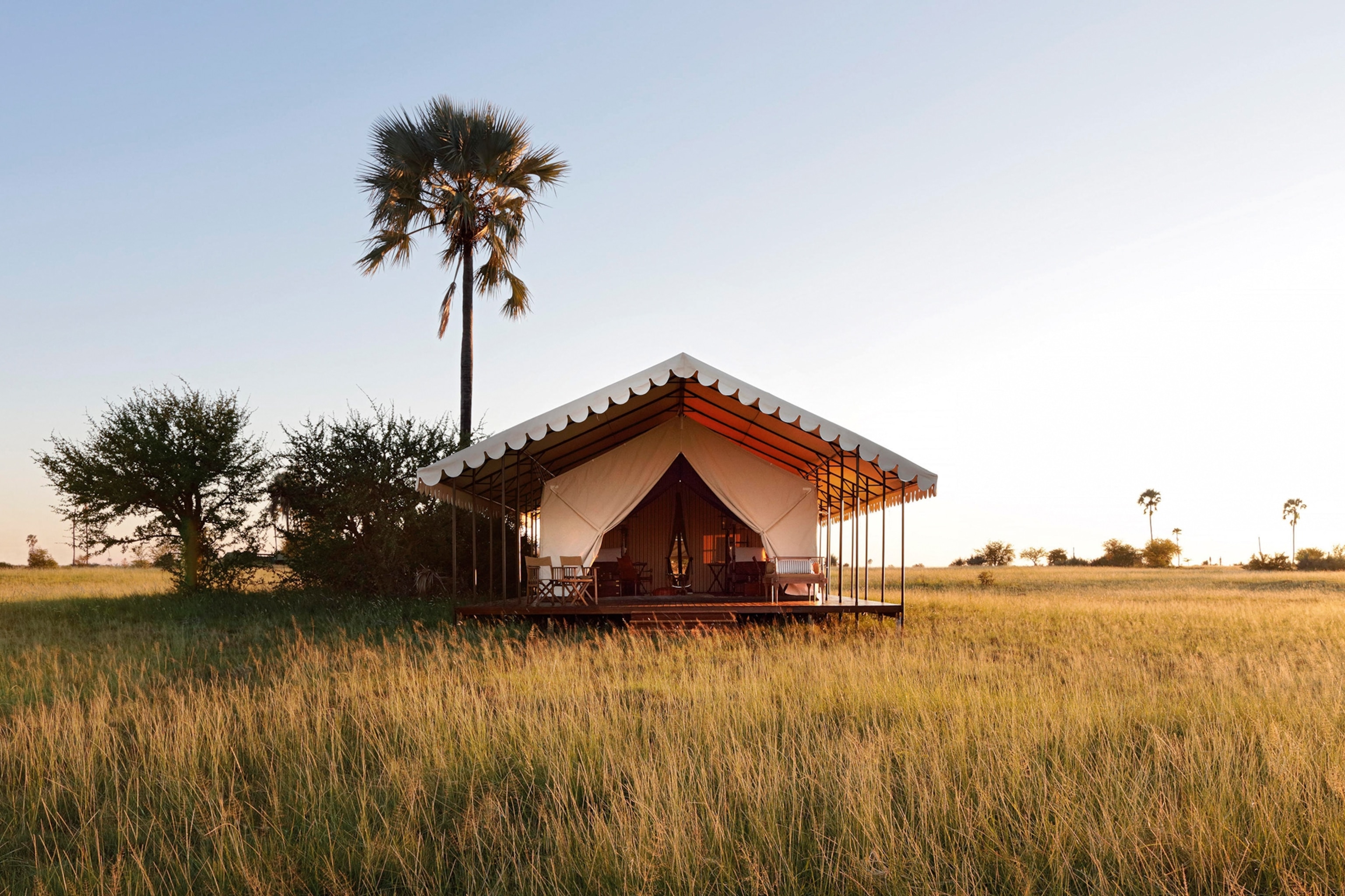 Safari lodge raised above grassland