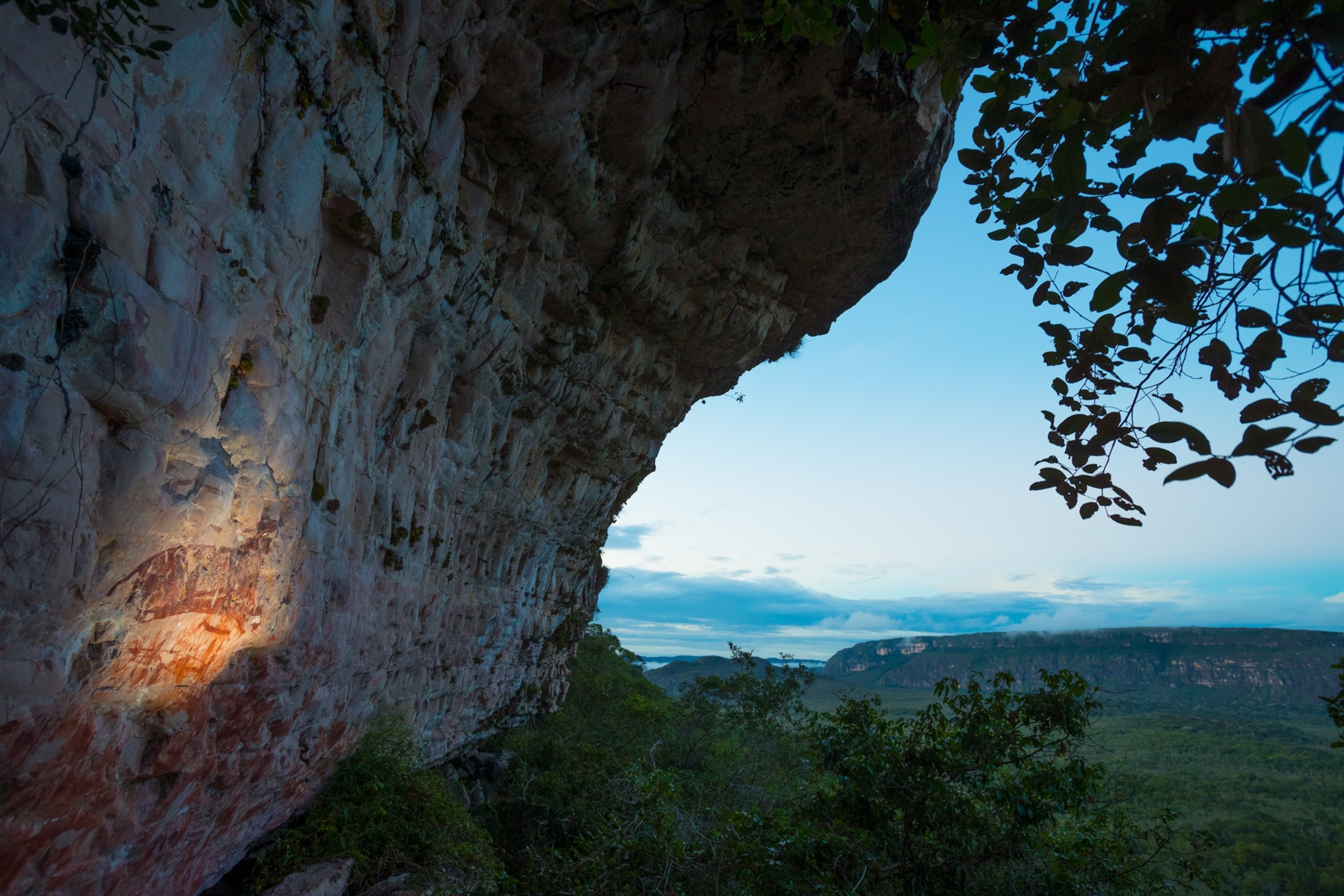 an ancient rock art depicting jaguars in a national park